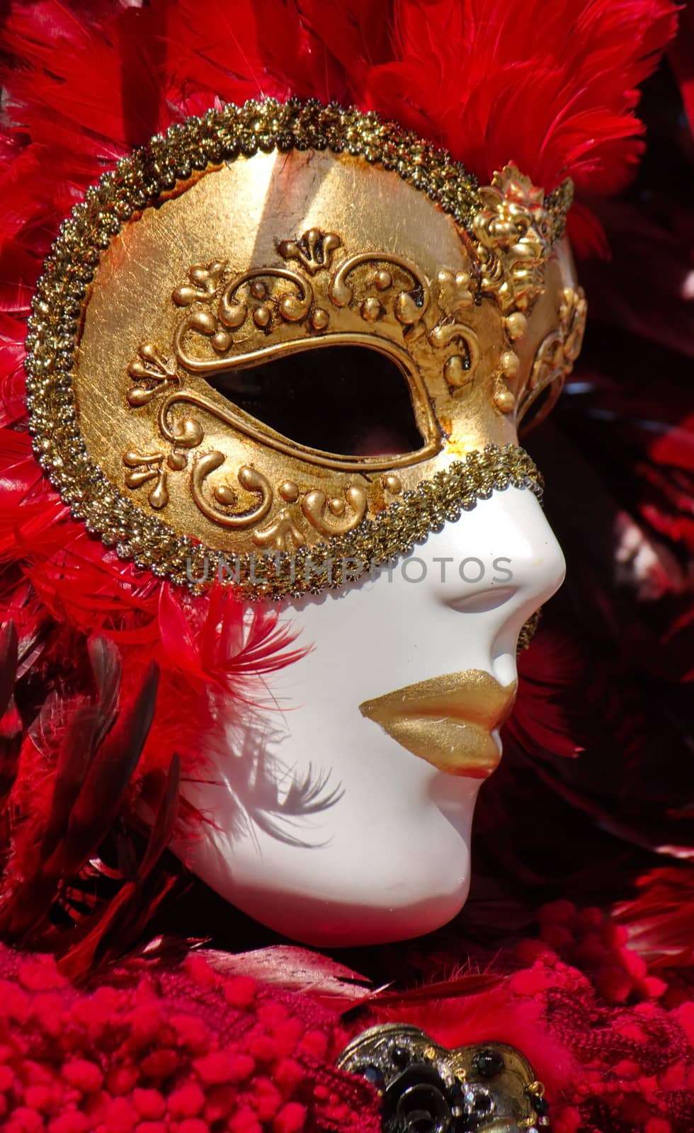 Close up on golden and red mask with feathers at the 2014 venetian carnival of Annecy, France