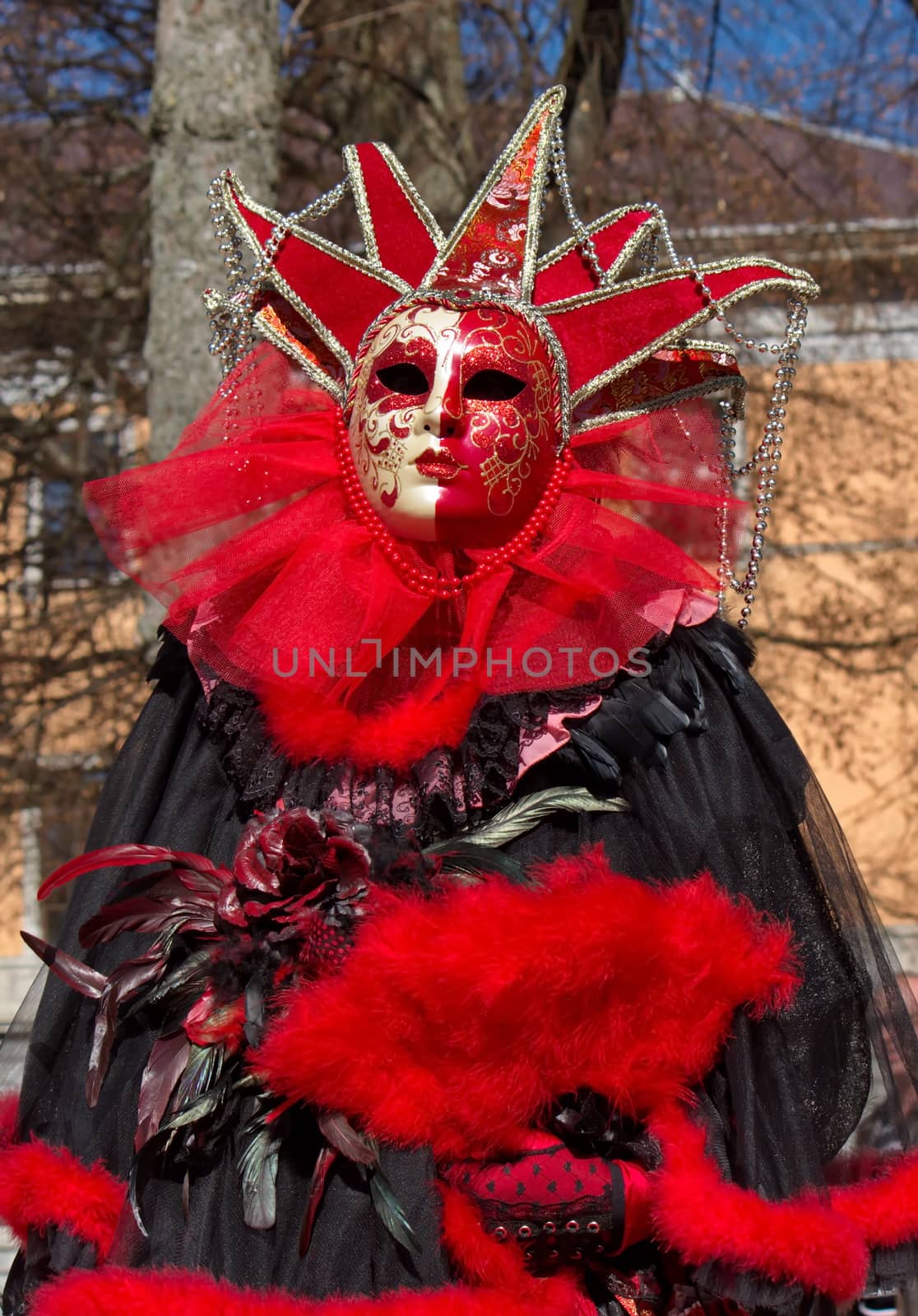 Venetian carnival at Annecy, France by Elenaphotos21