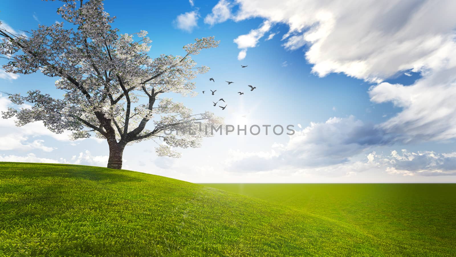 trees in a meadow with blue sky