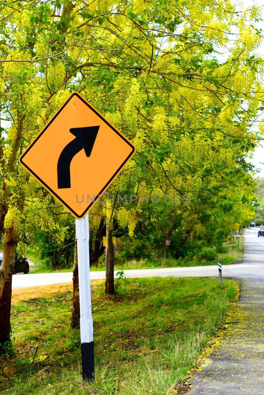 yellow turn right sign beside main road on yellow scene