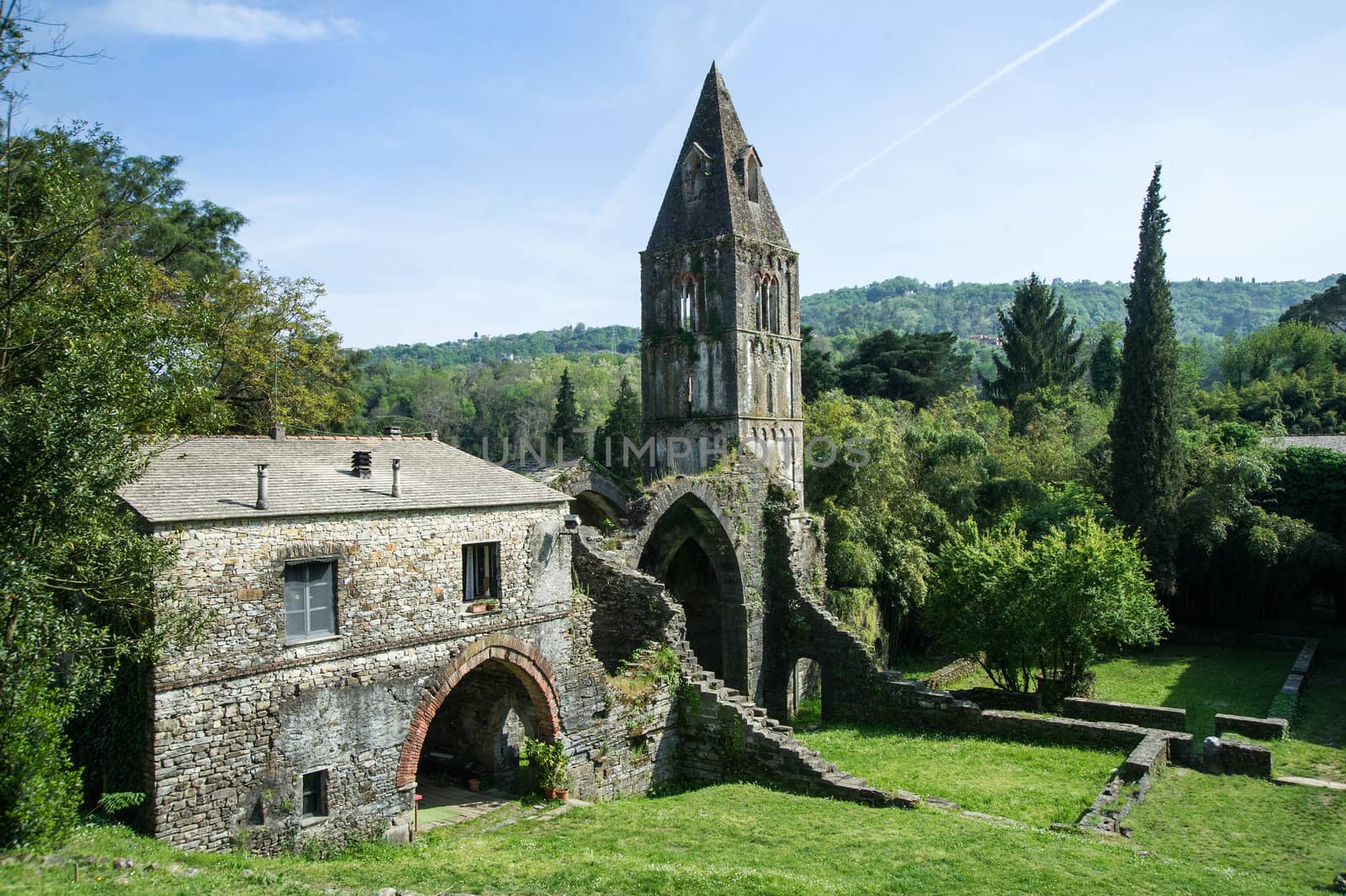 ruins of an old abbey suspended in time