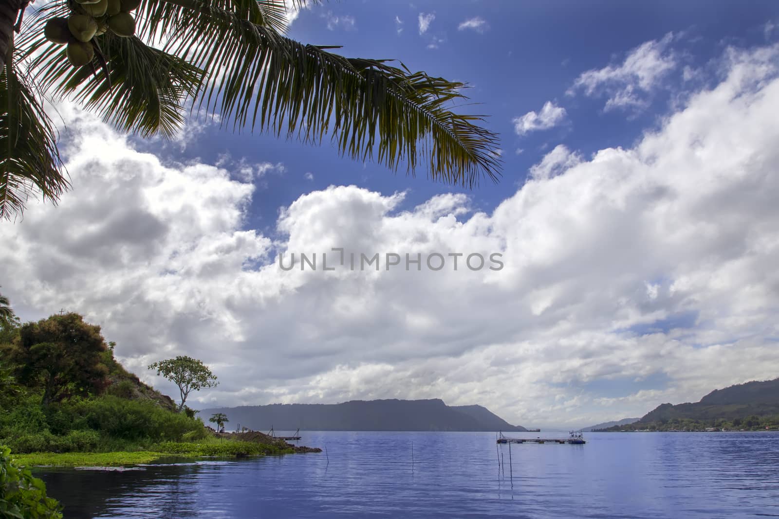 Flowers and Lake. Samosir Island North Sumatra, Indonesia.