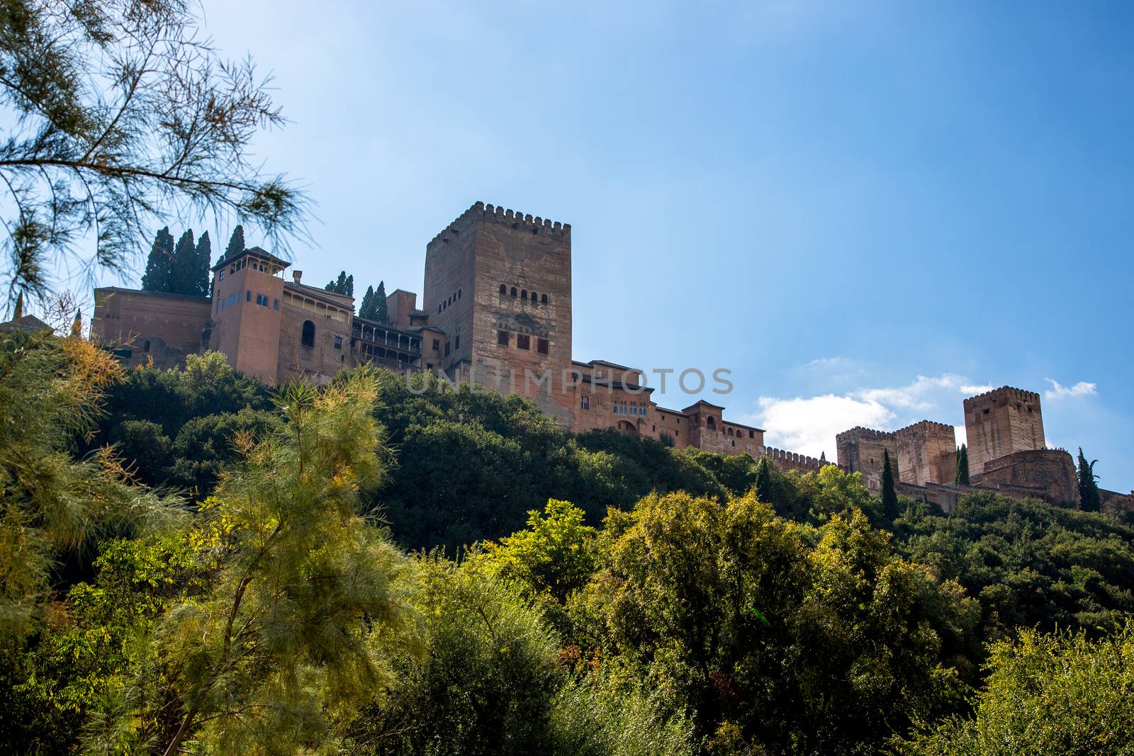 Alhambra Castle in Granada







granada, Alhambra, Castle, arabian