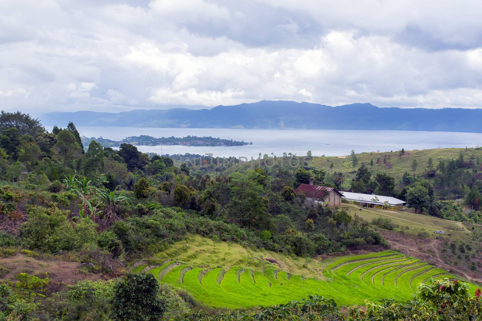 View to Rice Terraces in Mountain of Samosir Island, North Sumatra, Indonesia.