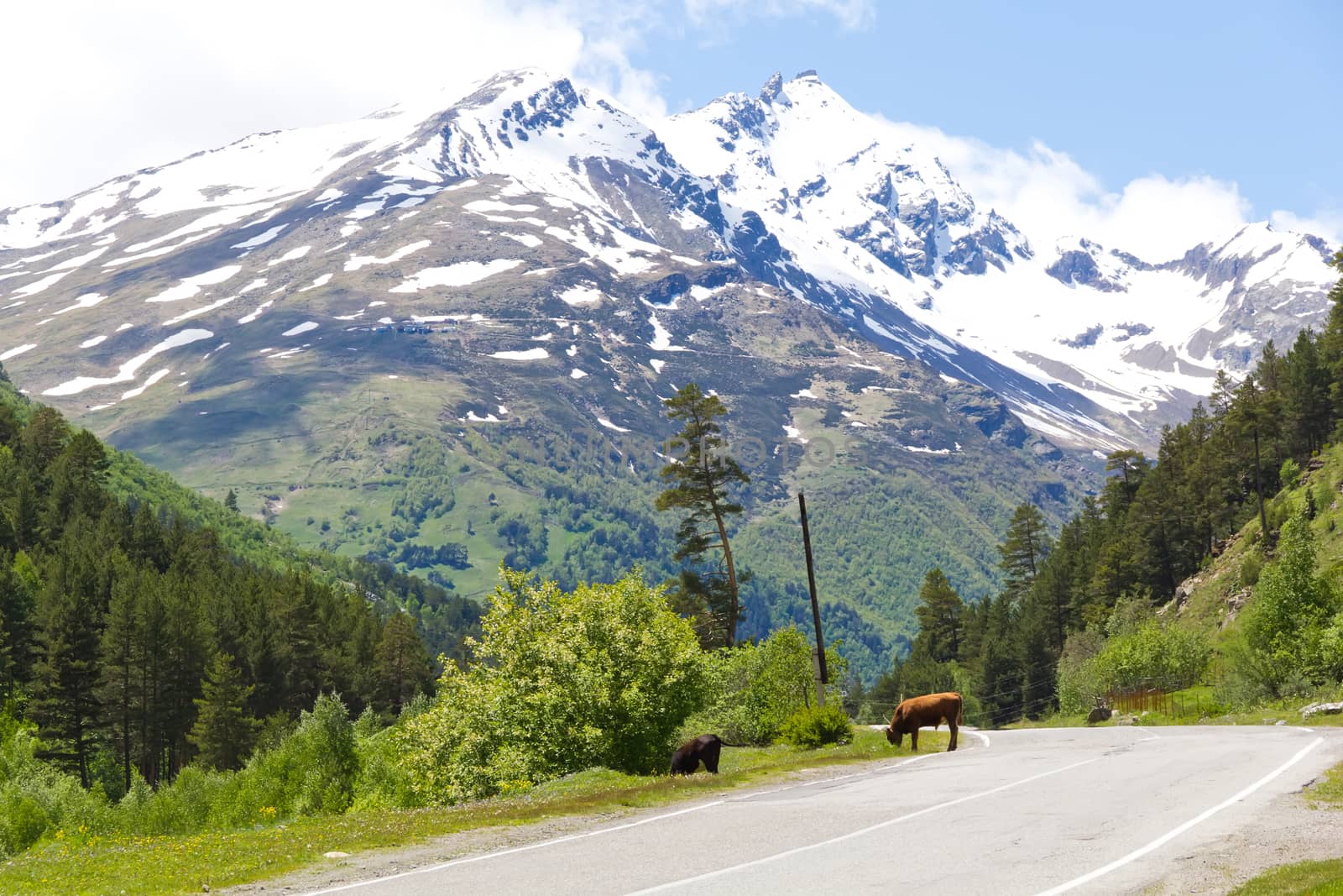 Landscape of mountains Caucasus region in Russia