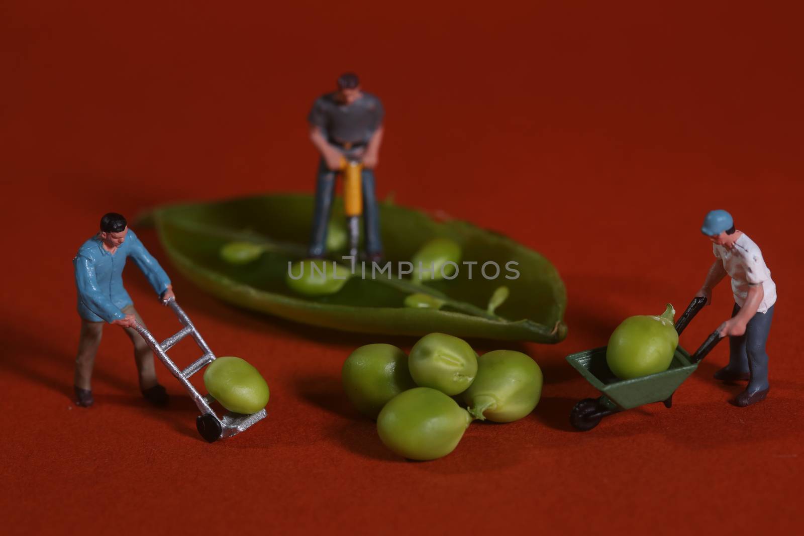 Construction Workers in Conceptual Food Imagery With Snap Peas by tobkatrina