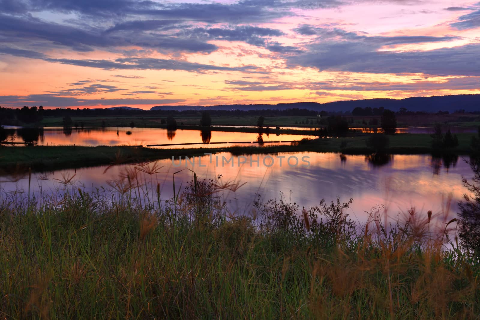 Sunset across some of the lakes at Penrith with Blue Mountains in the background. Long 8sec exposure  motion in some moving plants