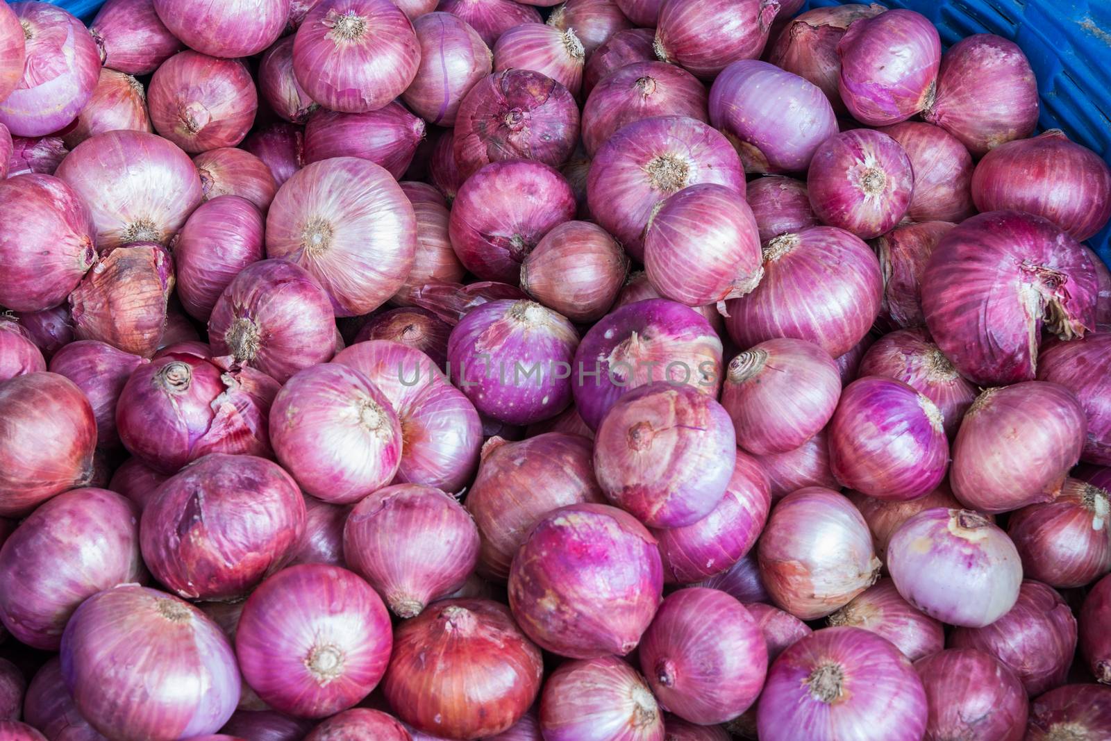 Red onion in basket