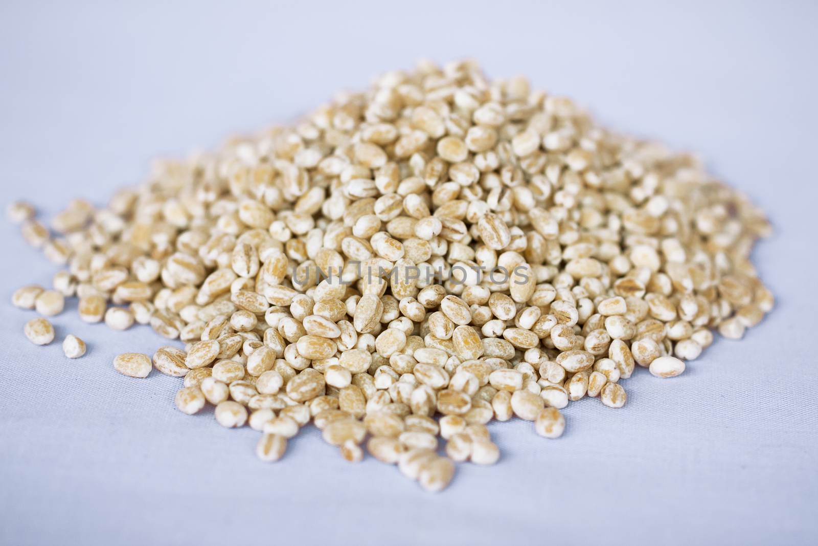 Dry bean and nut on white background