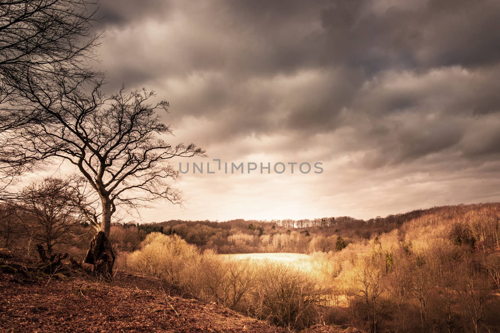 Dramatic landscape of a valley with sunshine shining through dar by Sportactive