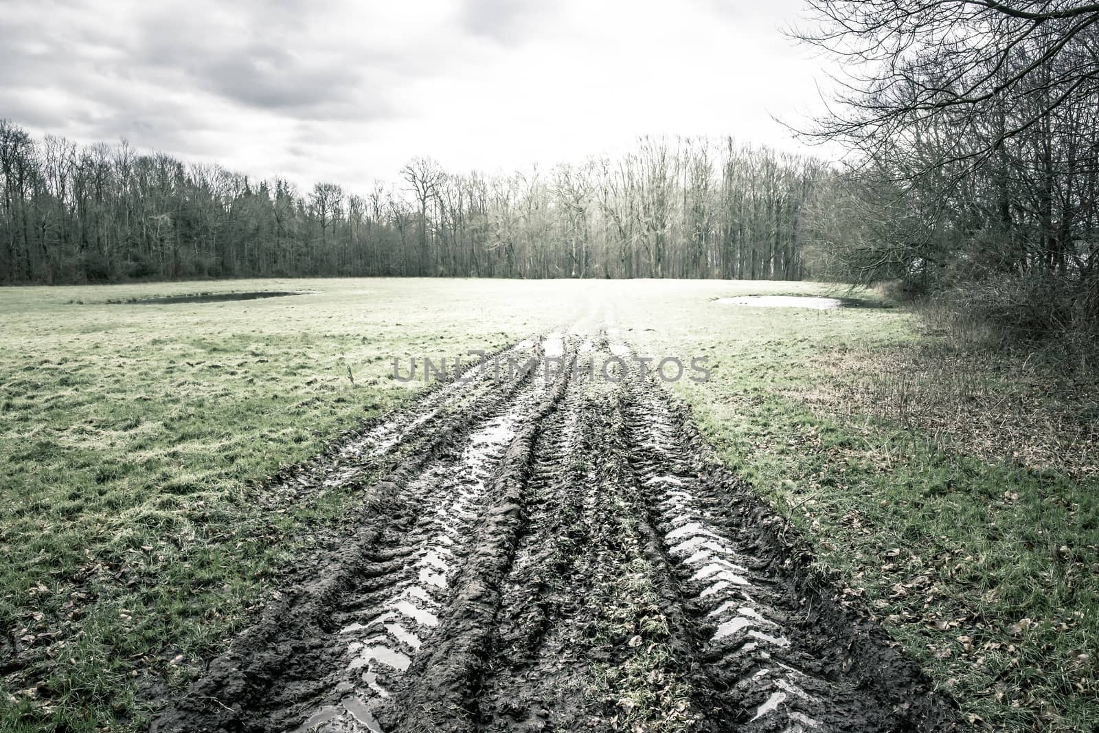 Large wheel tracks in the mud on a green field by Sportactive