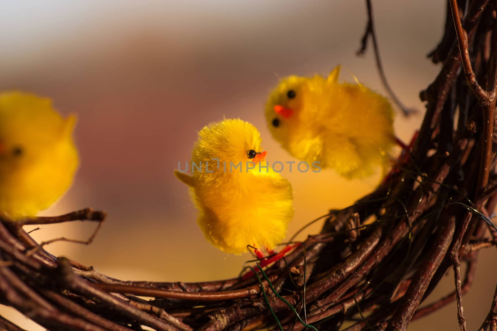 Yellow easter chickens dancing on some twigs by Sportactive