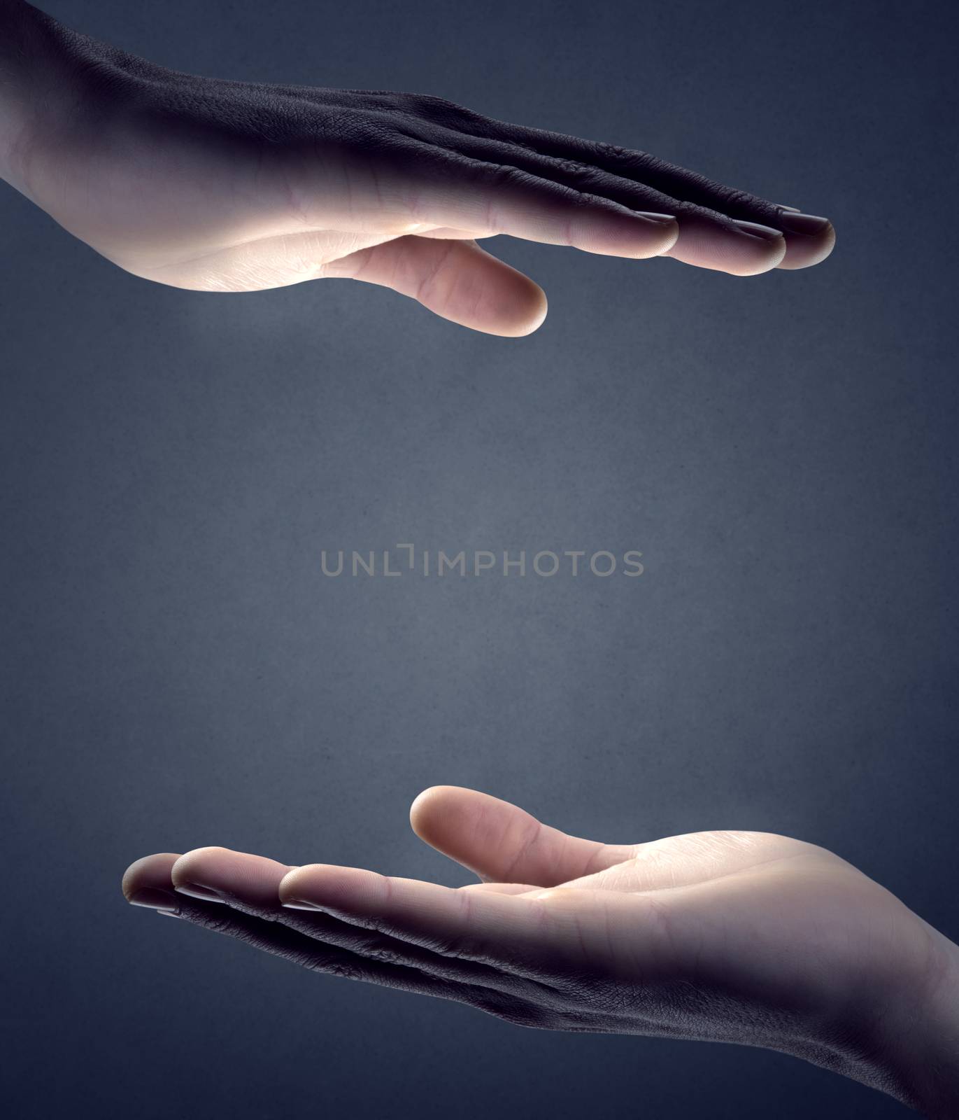 Male hands cupped on gray background with copyspace in the center.