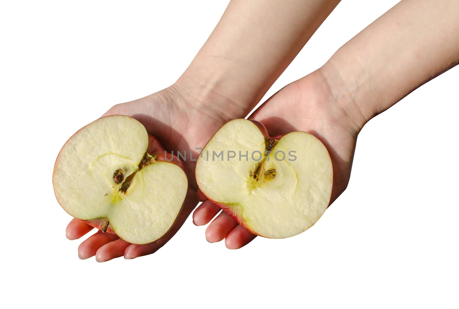 woman hold palms sawn apple sides with brown seeds by sauletas