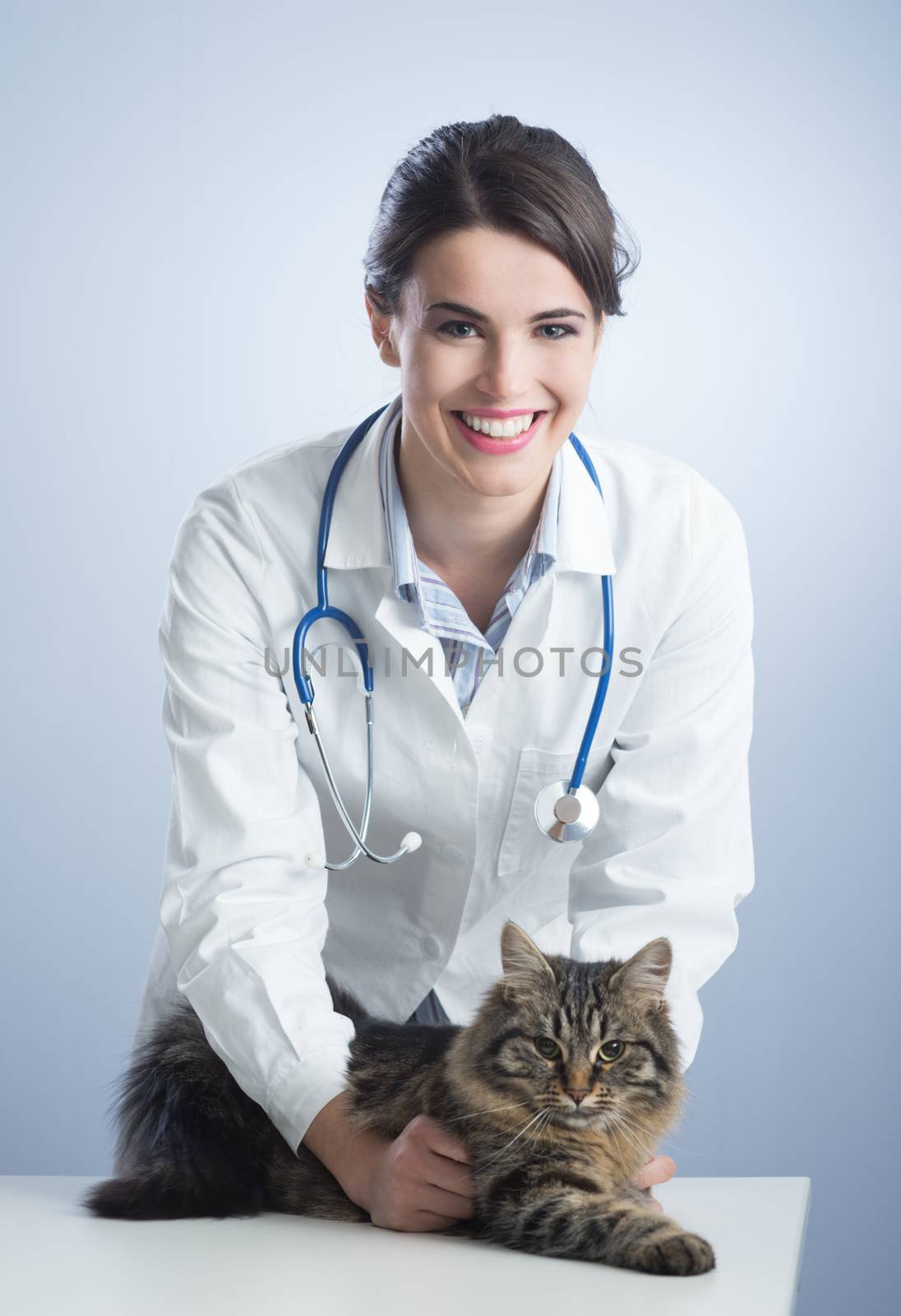 Beautiful female veterinary holding a long hair cat.