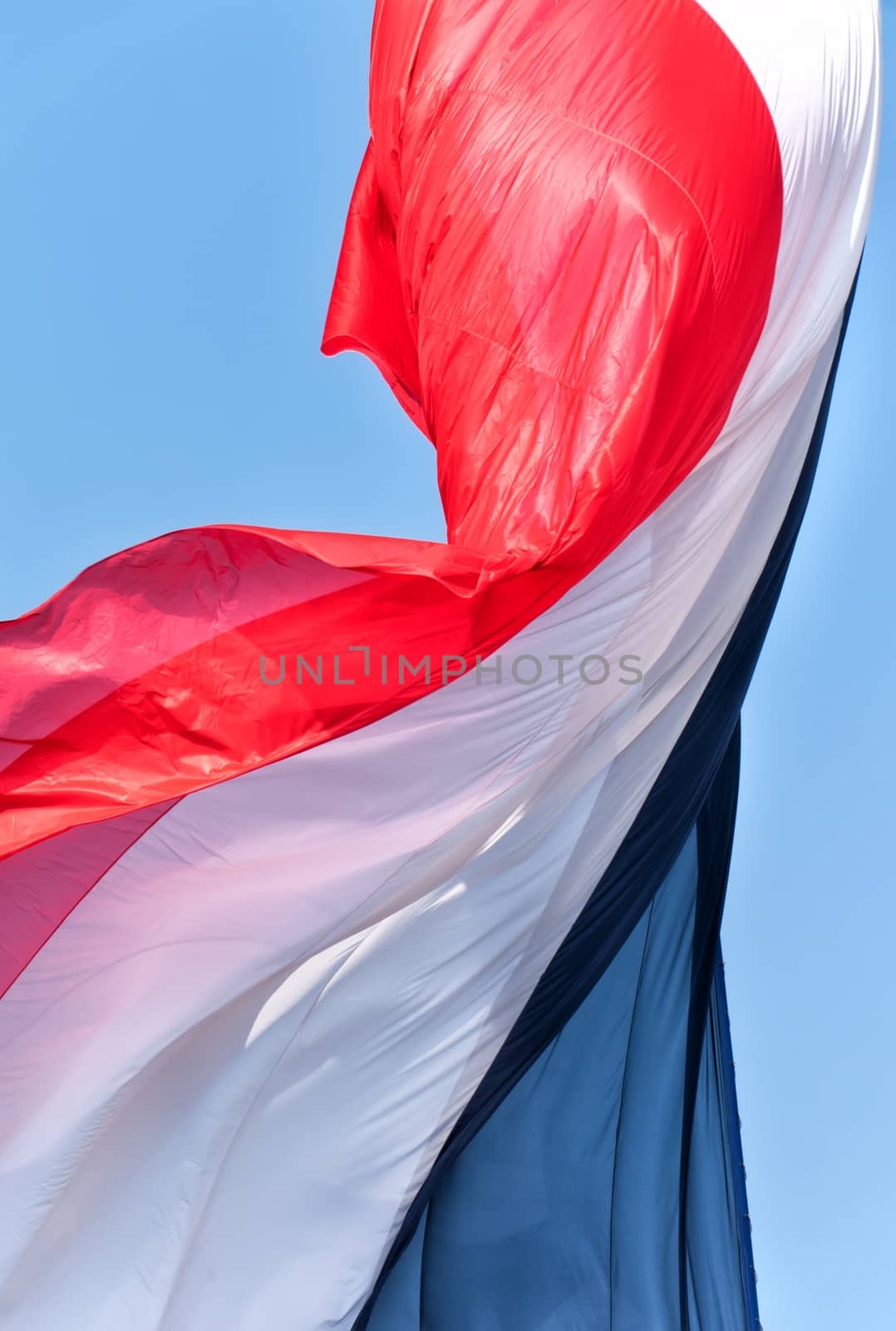 French flag fluttering in the wind by mitakag