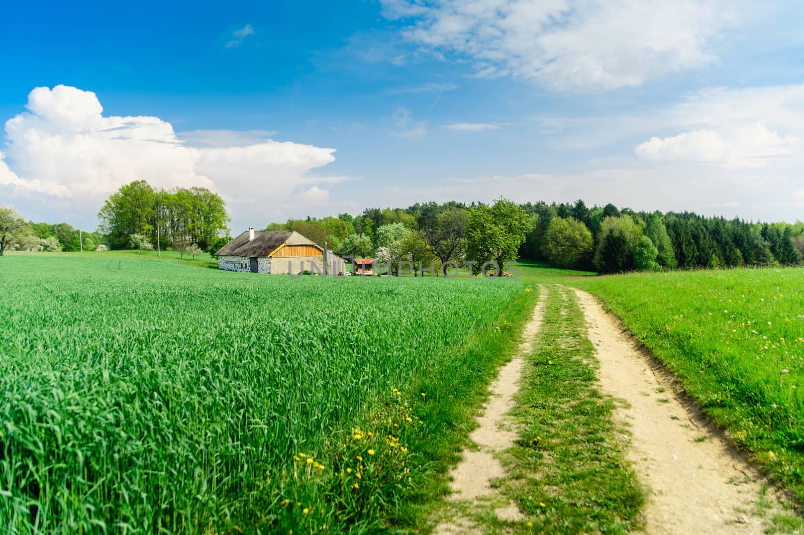 Rural Landscape in Upper Austria with a Footpath leading to a Farm House