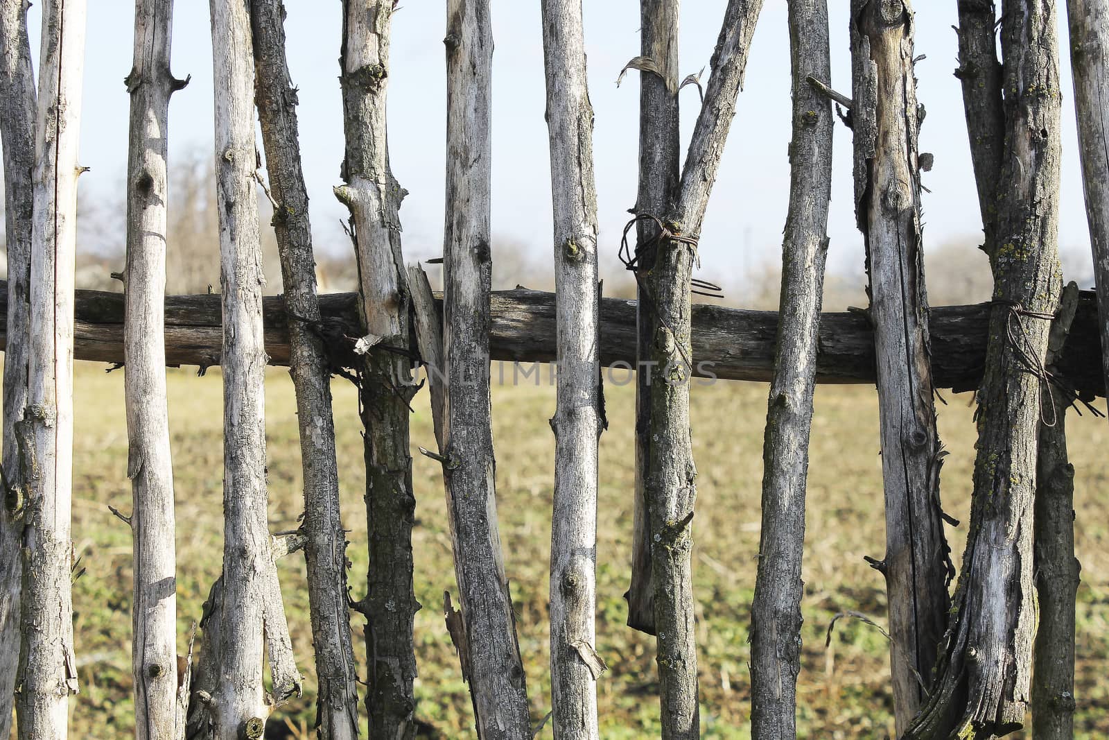 fence background old wood sticks by Ukid123