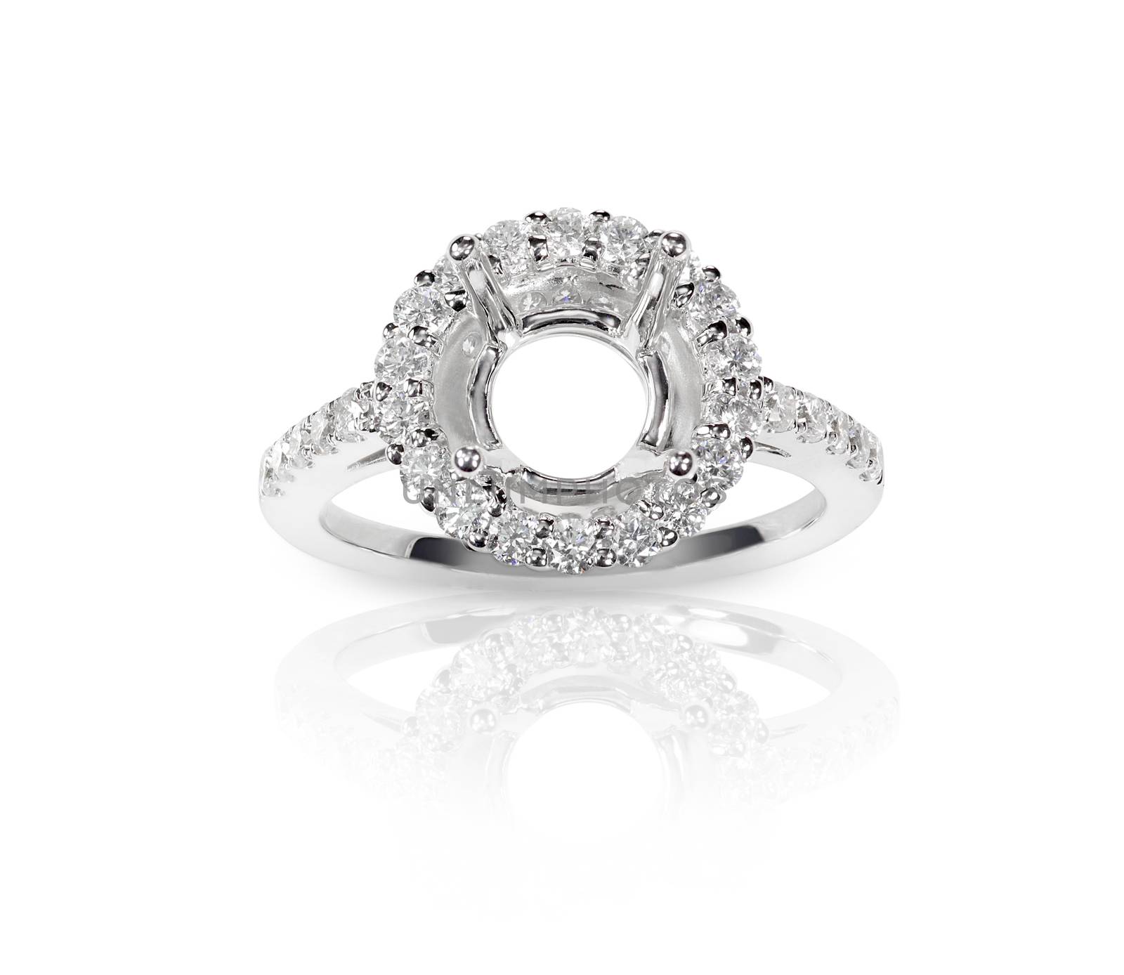 Halo DIamond Engagment Wedding Ring Setting by fruitcocktail