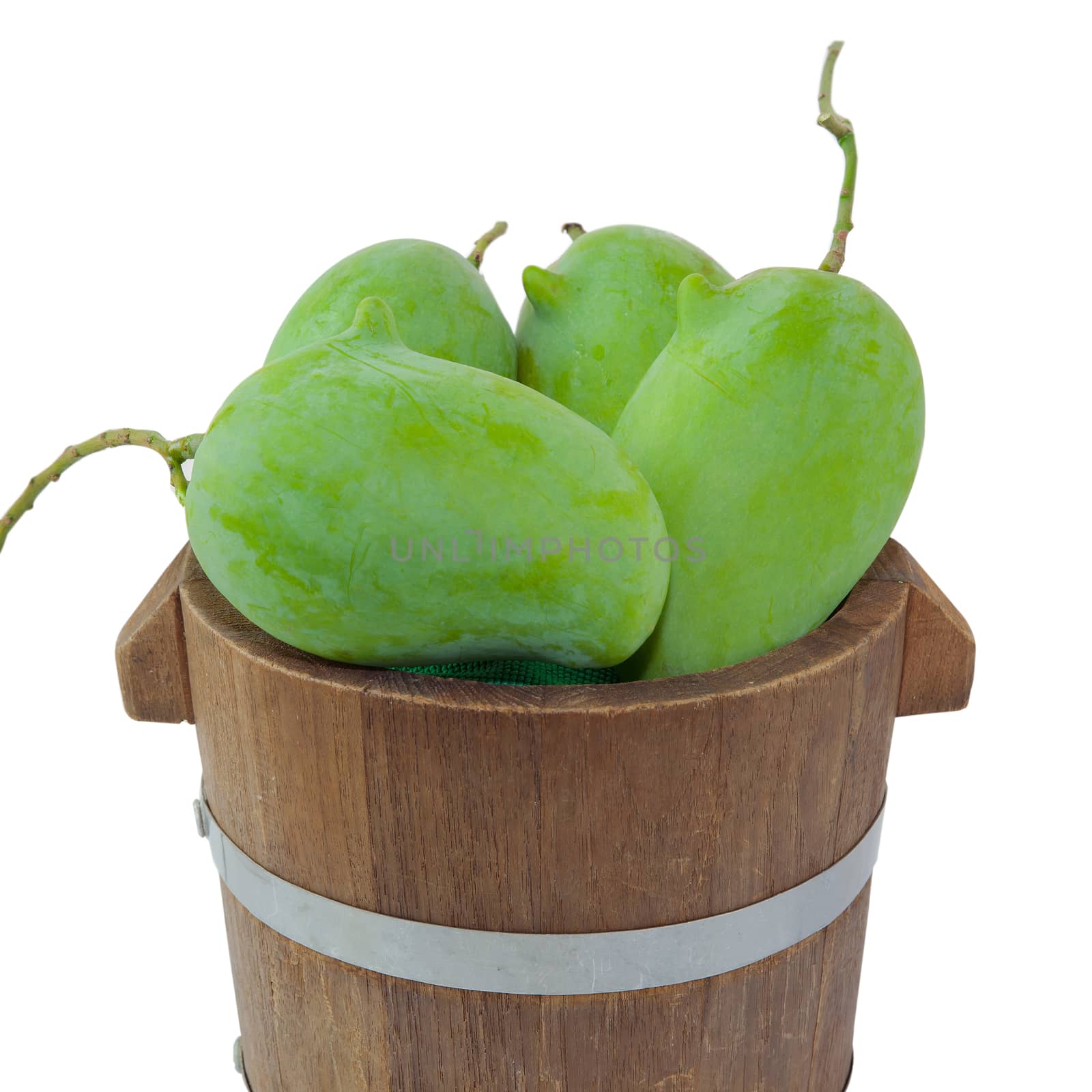 Green mango in bucket isolated