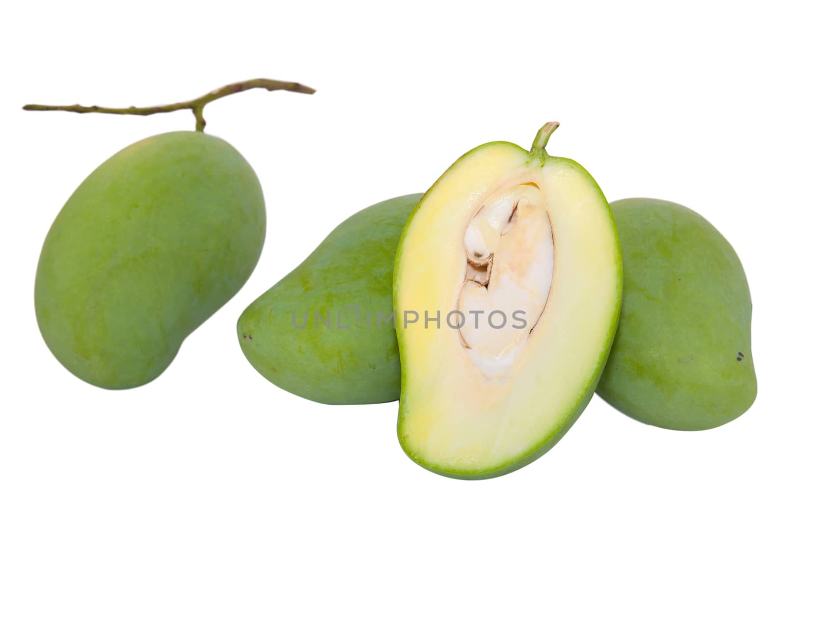 Green mango isolated