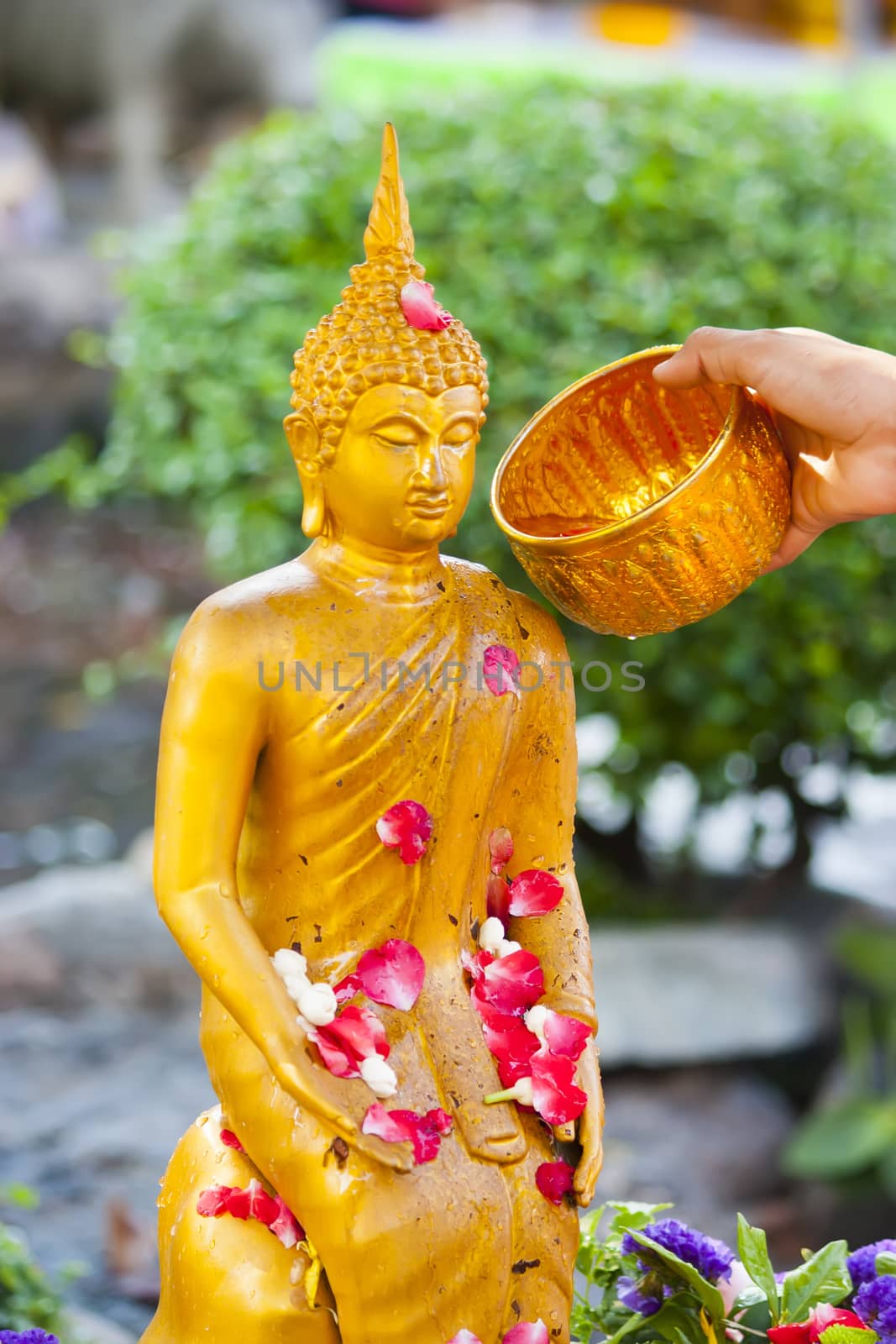 People pouring a water to Buddha statue in Songkran festival tradition of thailand. Photo: Amnarj2006/ yaymicro.com