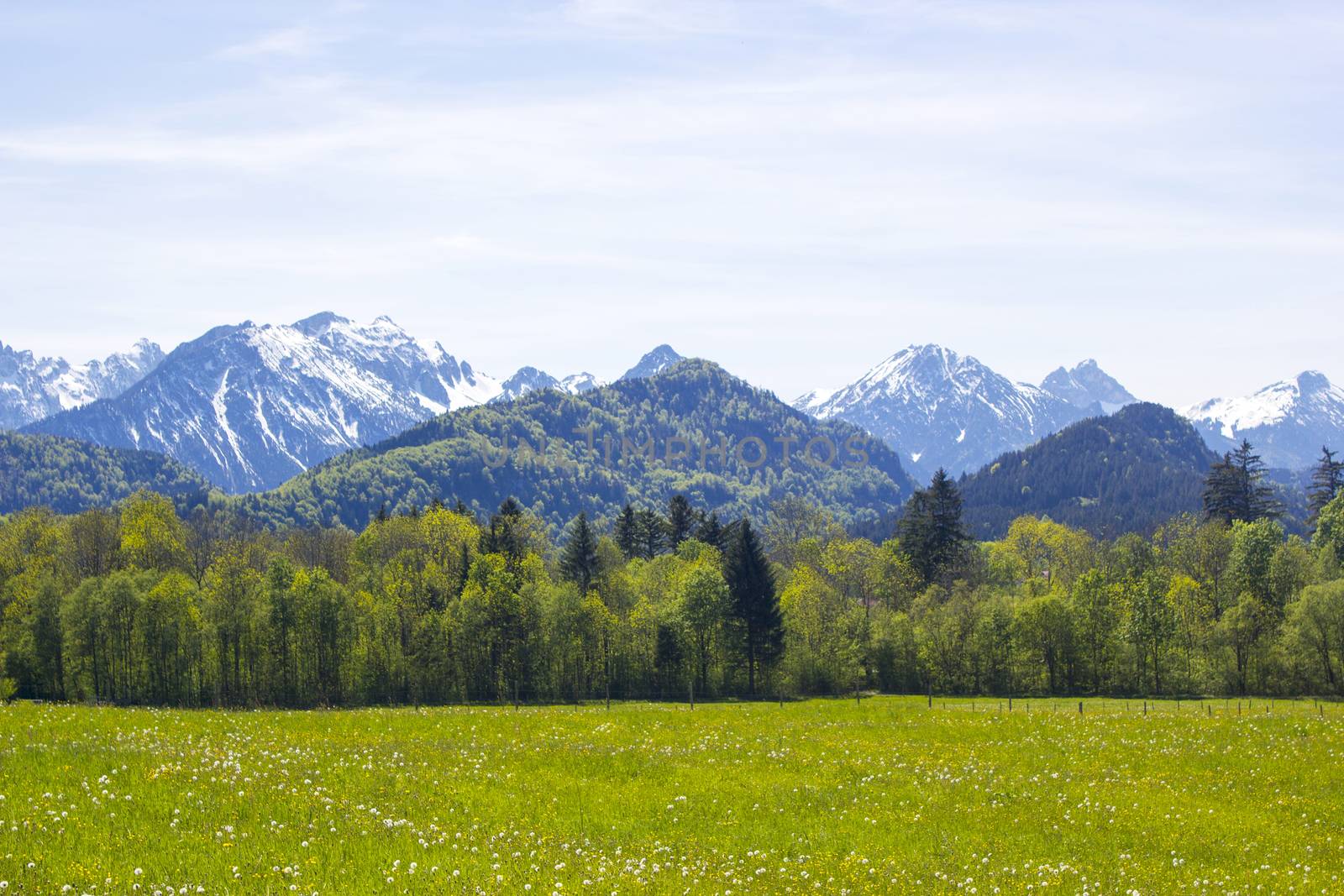 lovely panorama in the alps in Germany
