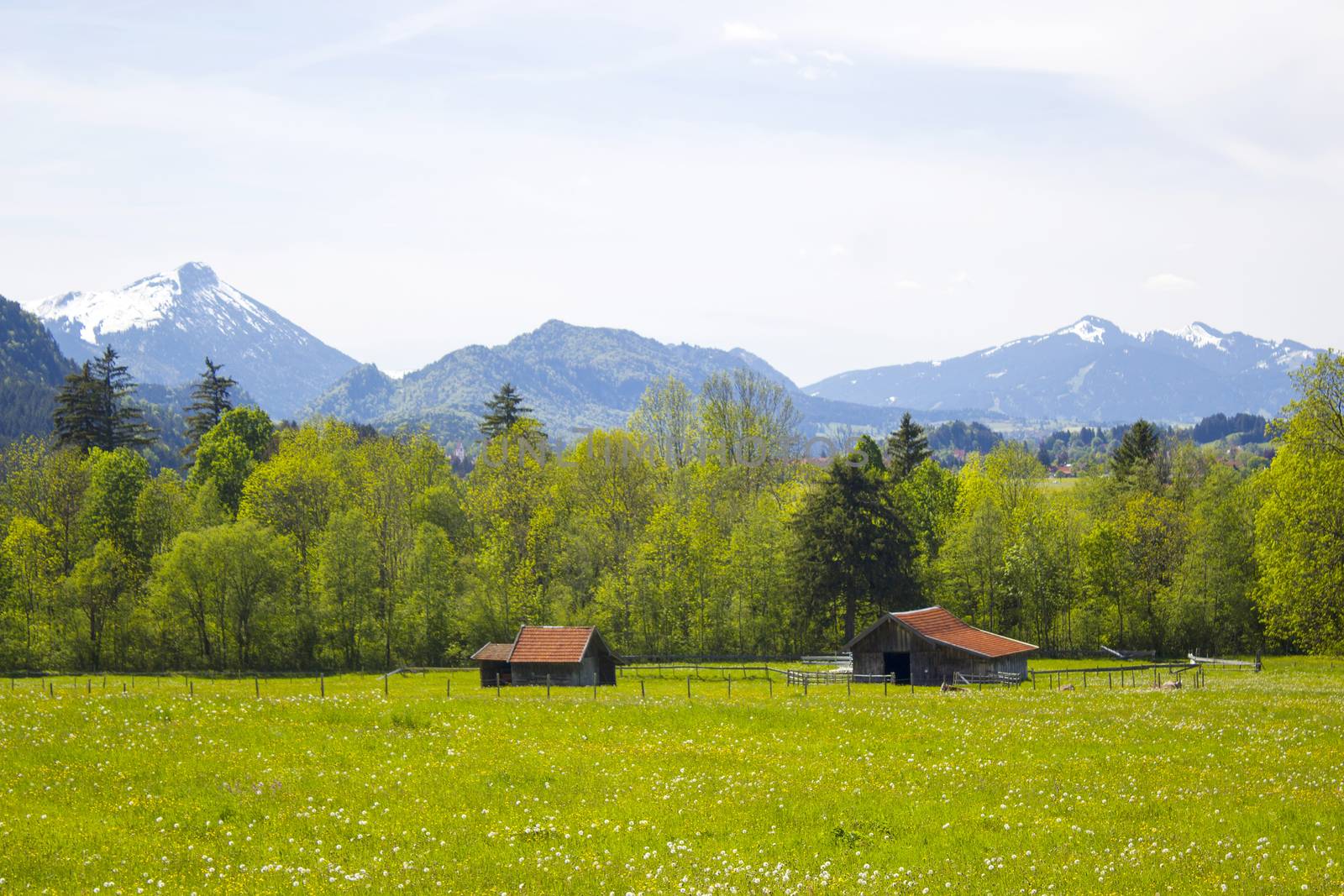 lovely panorama in the alps in Germany