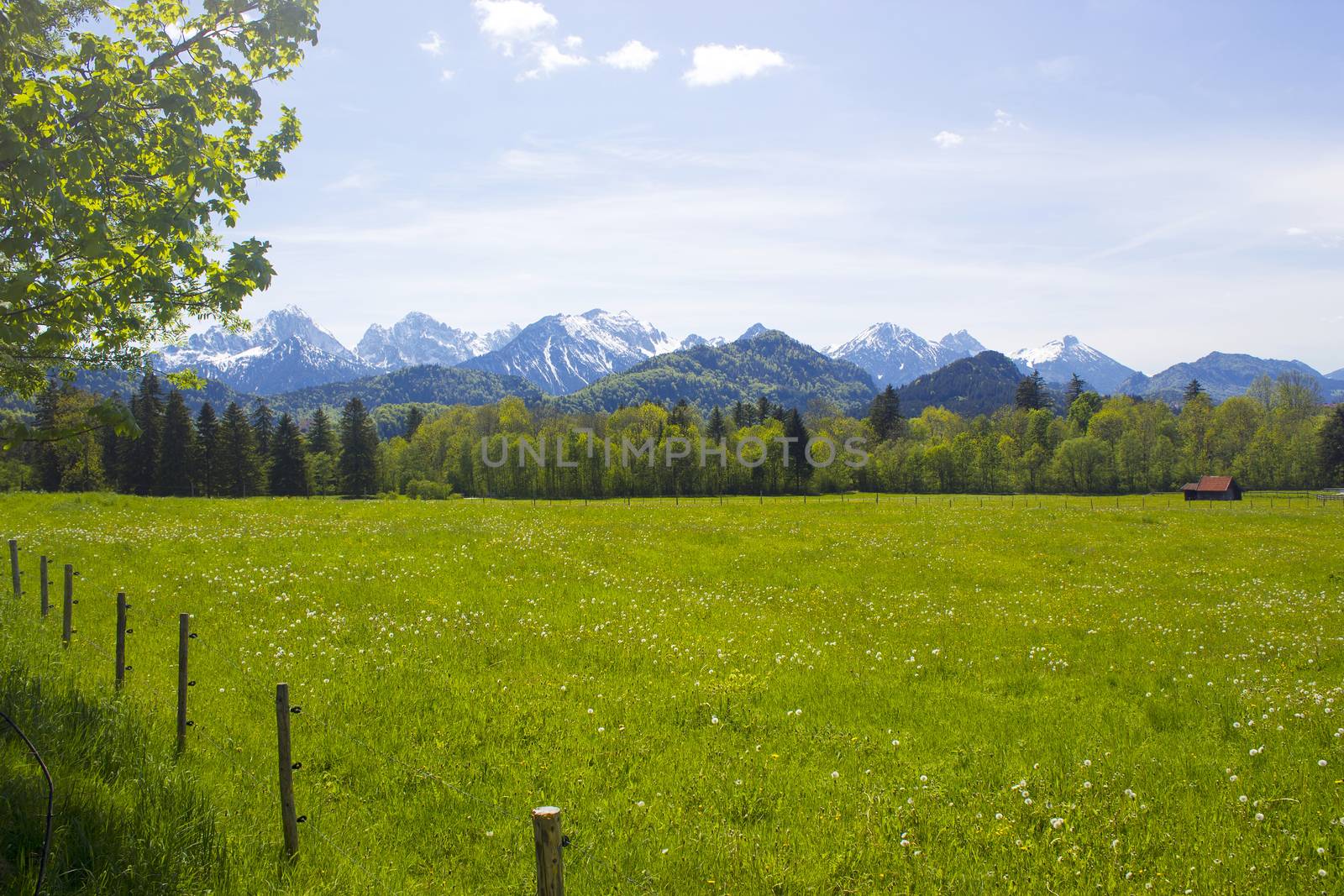 lovely panorama in the alps in Germany