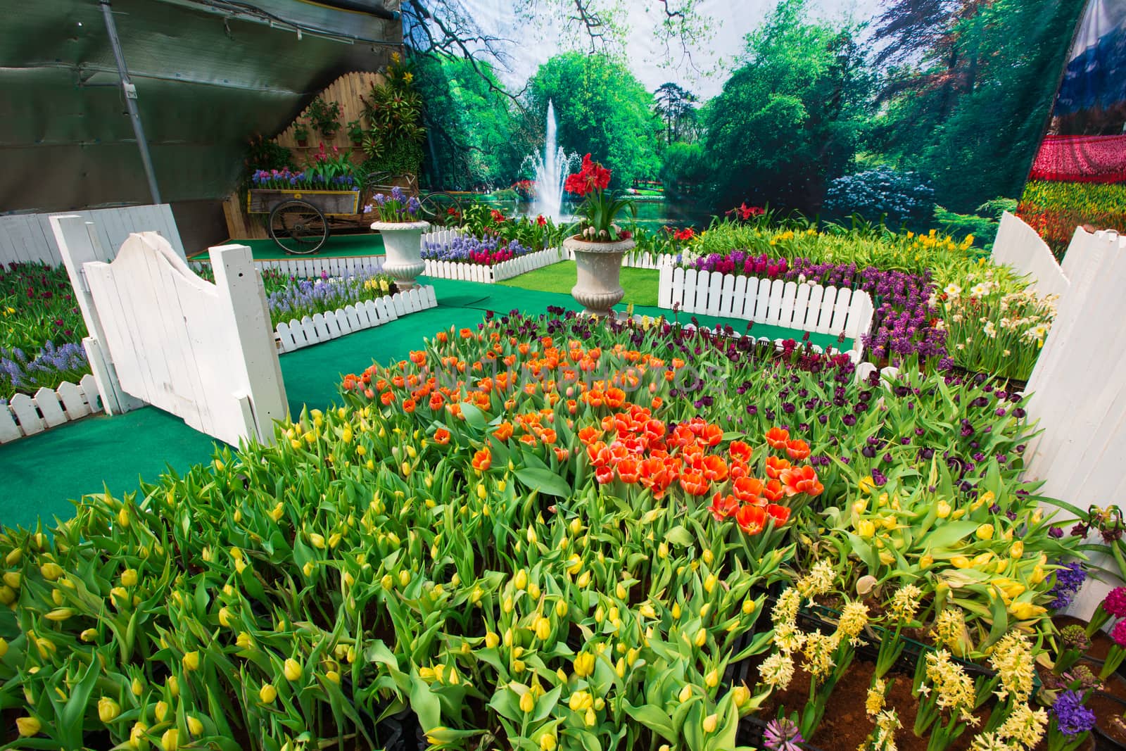 Indoor garden in thailand