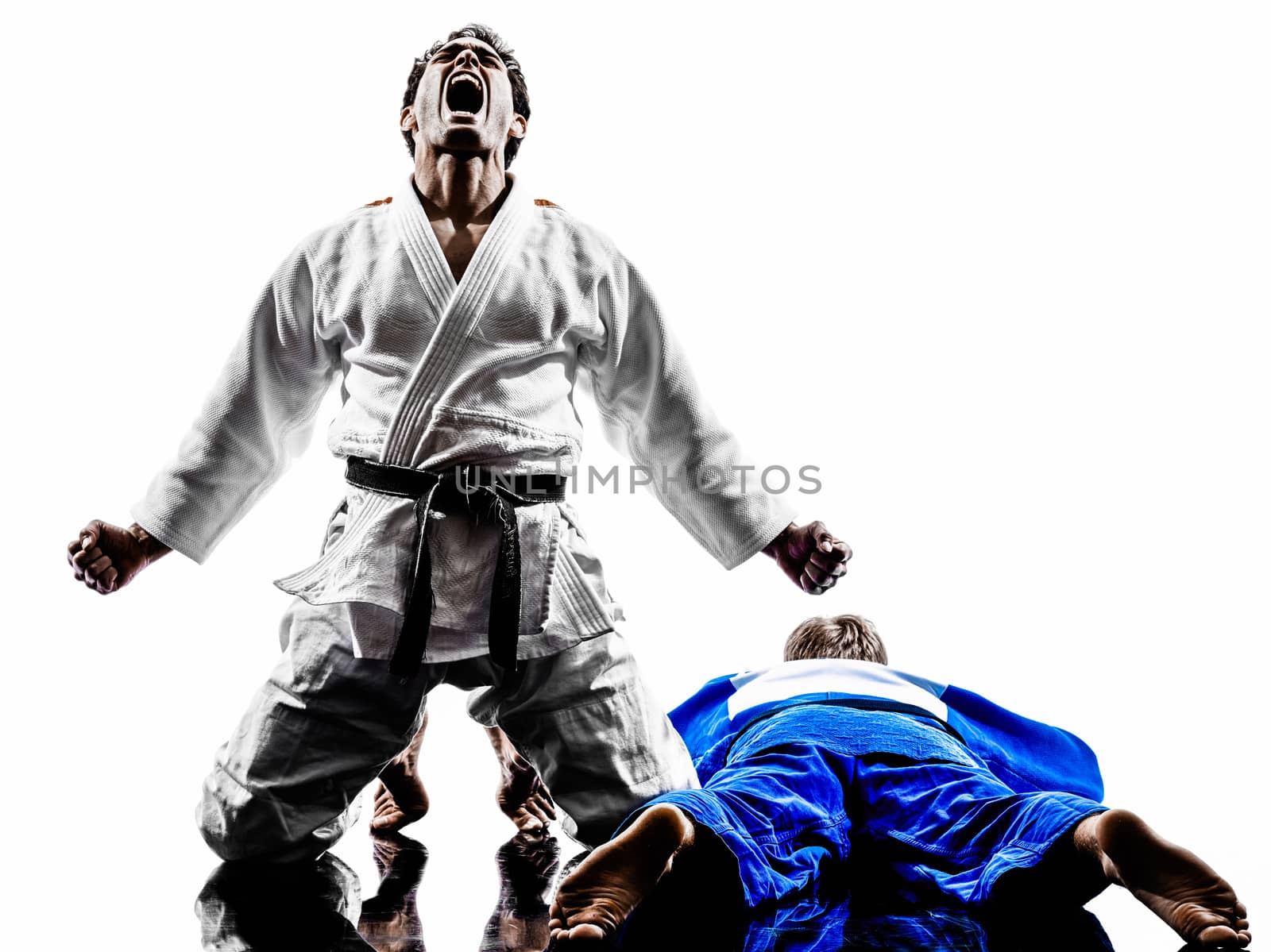judokas fighters fighting men silhouettes by PIXSTILL