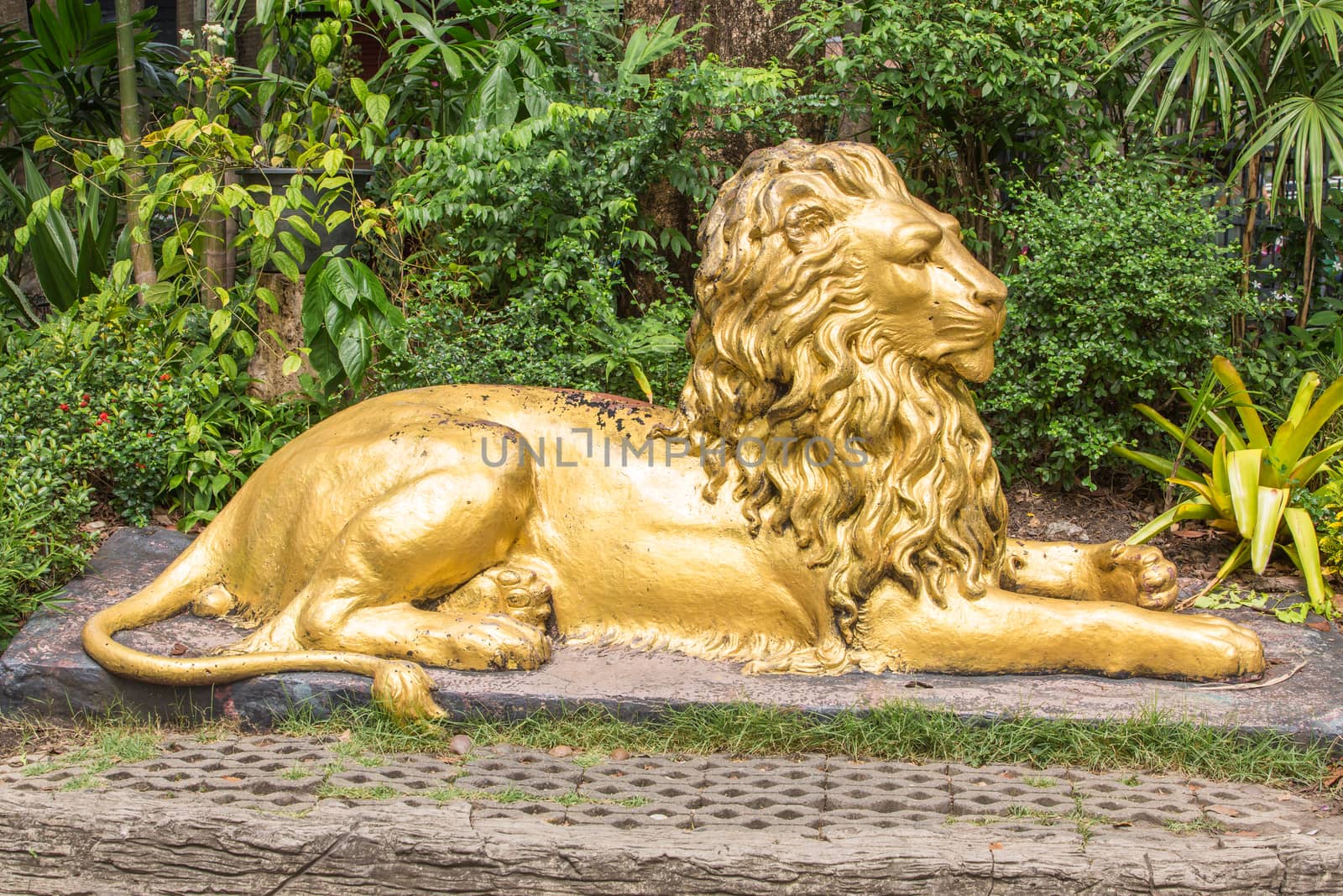 Lion statue by tuchkay