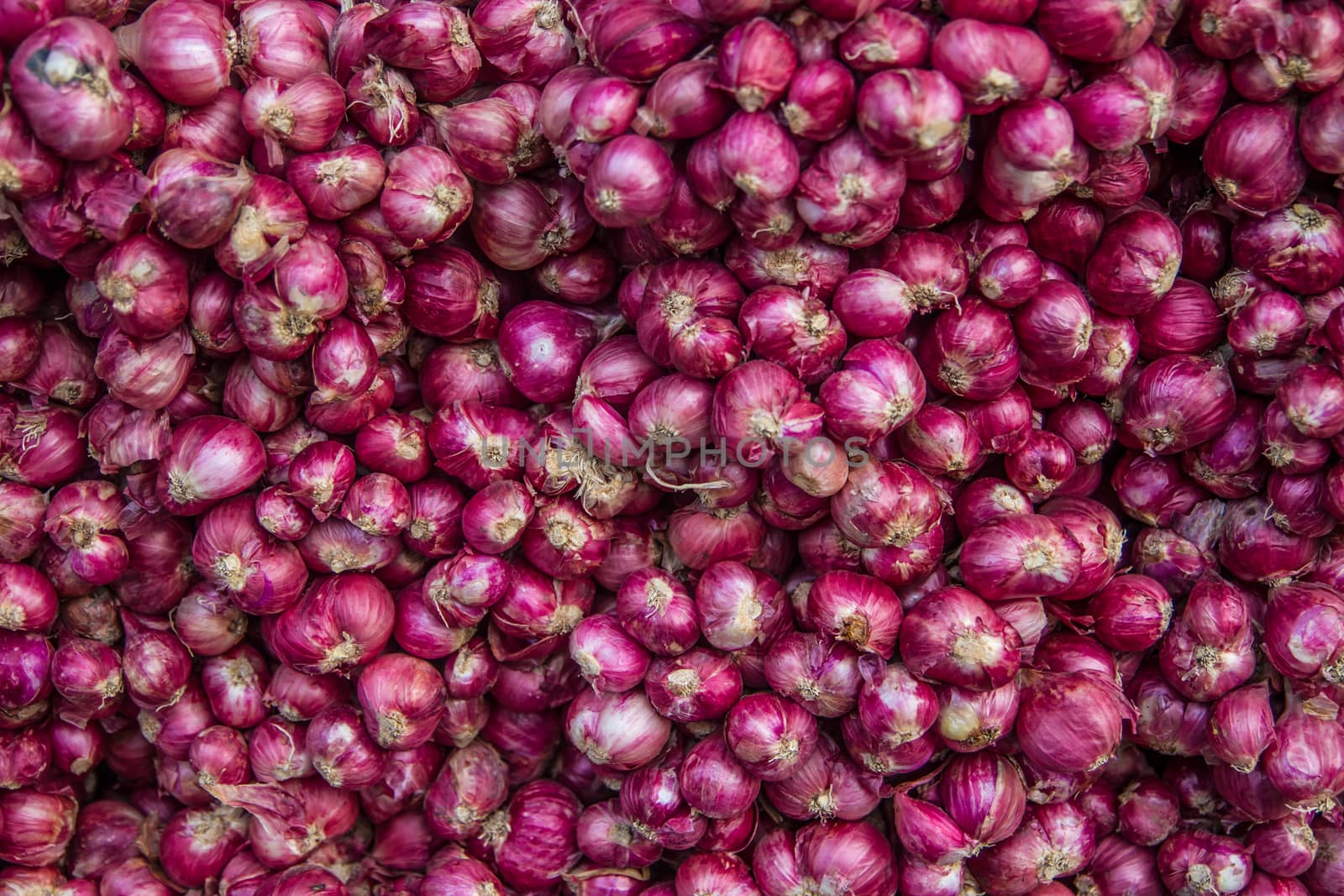 Red onion by tuchkay