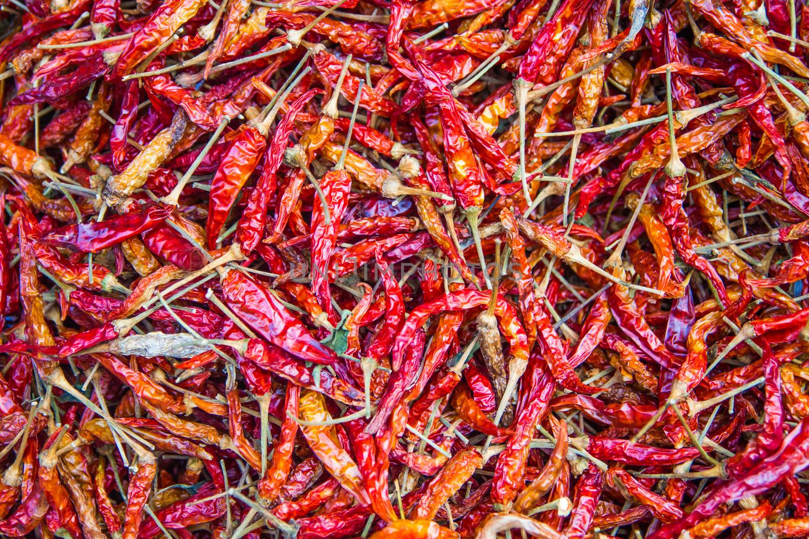 Dried chilli. by tuchkay