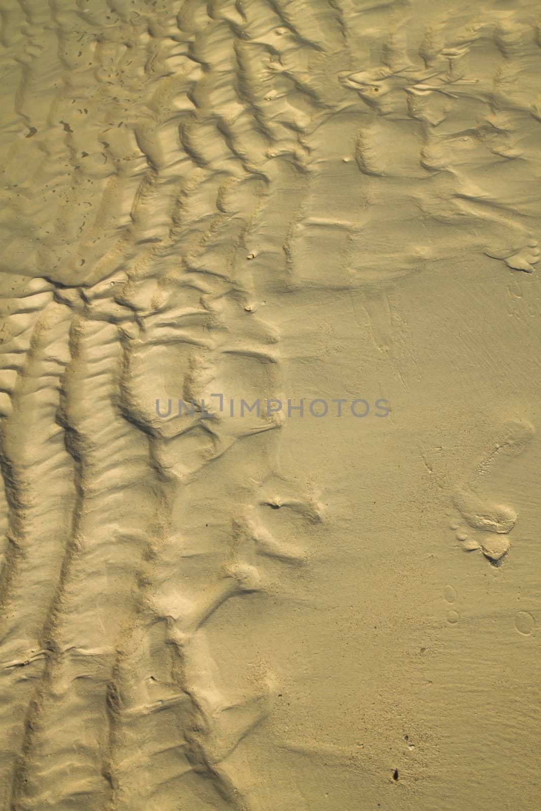 Photo of the beach with wave texture