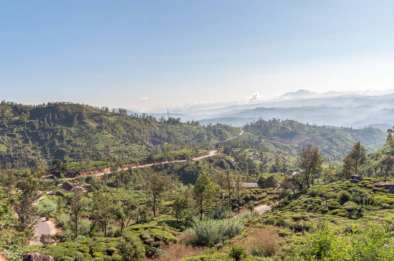 Mountain landscape of Sri Lanka. Surroundings of Nuwara Eliya.