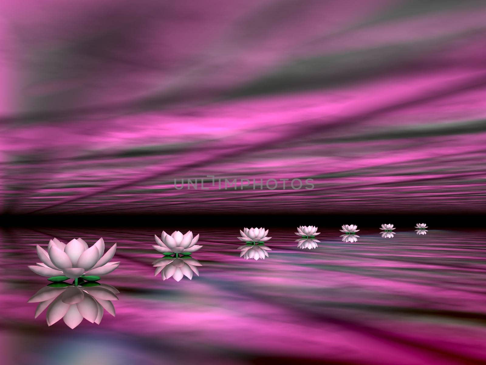 Water lilies steps to the sun - 3D render by Elenaphotos21