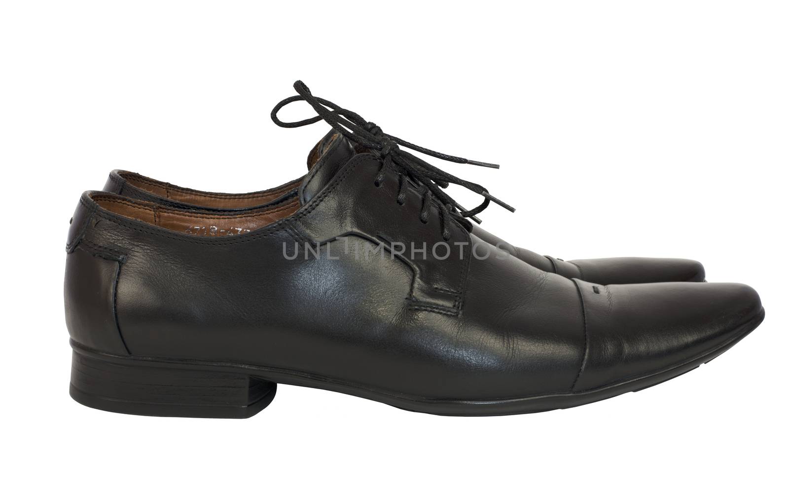 Pair of men's shoes in classic style by cherezoff
