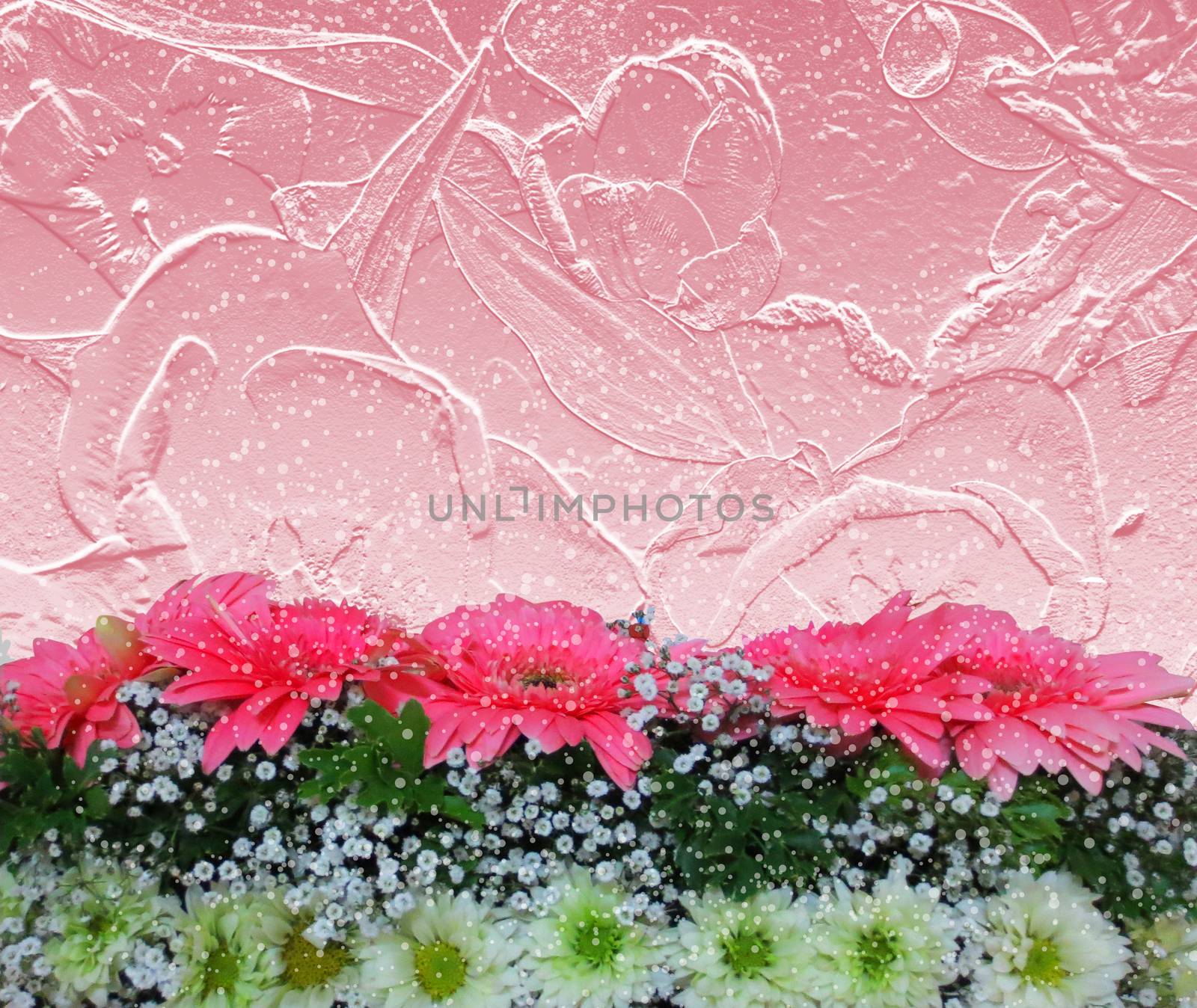 Romantic flower isolated on pink background