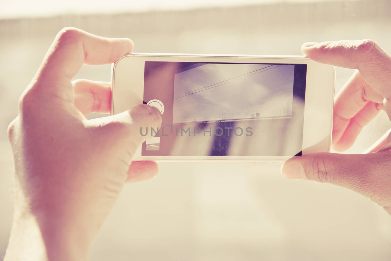 Woman Using a Smart Phone