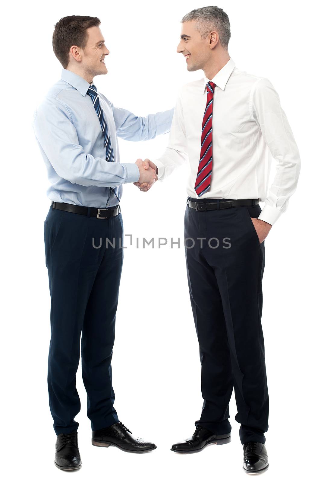 Handsome executives shaking hands