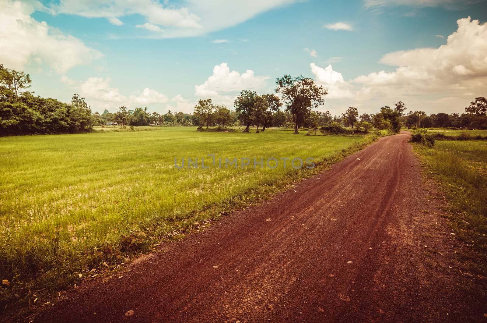 Soil road and grass meadow in  countryside view nature