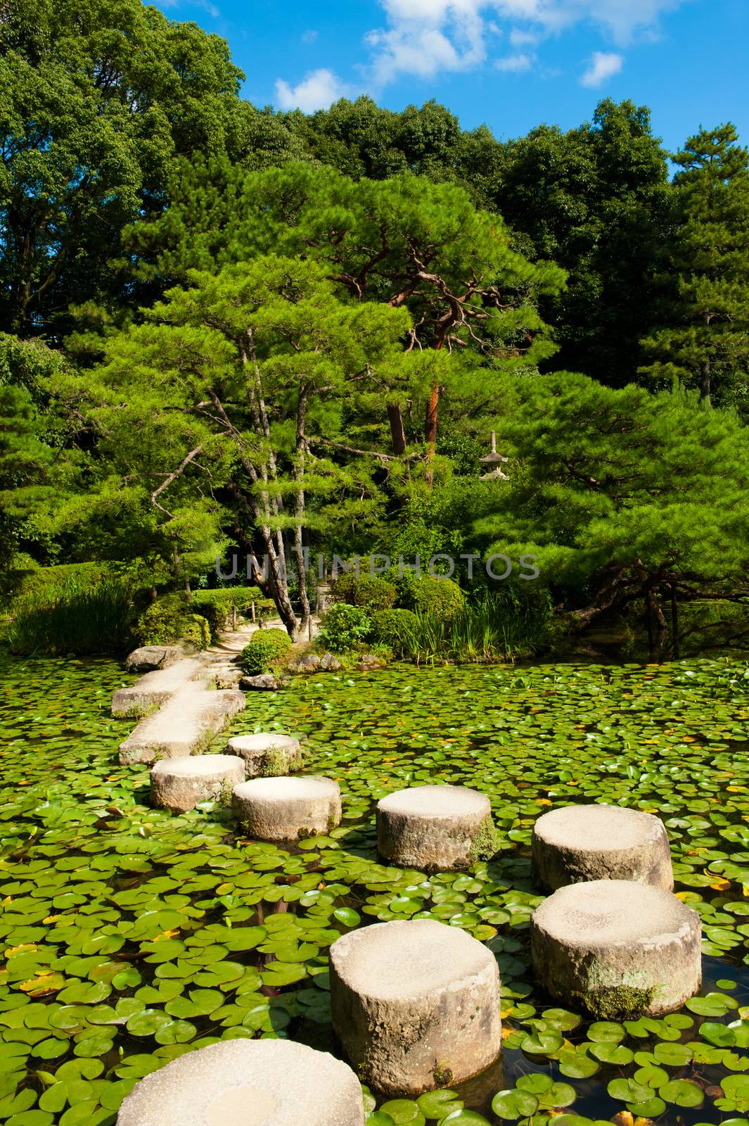 Stone zen path by fyletto