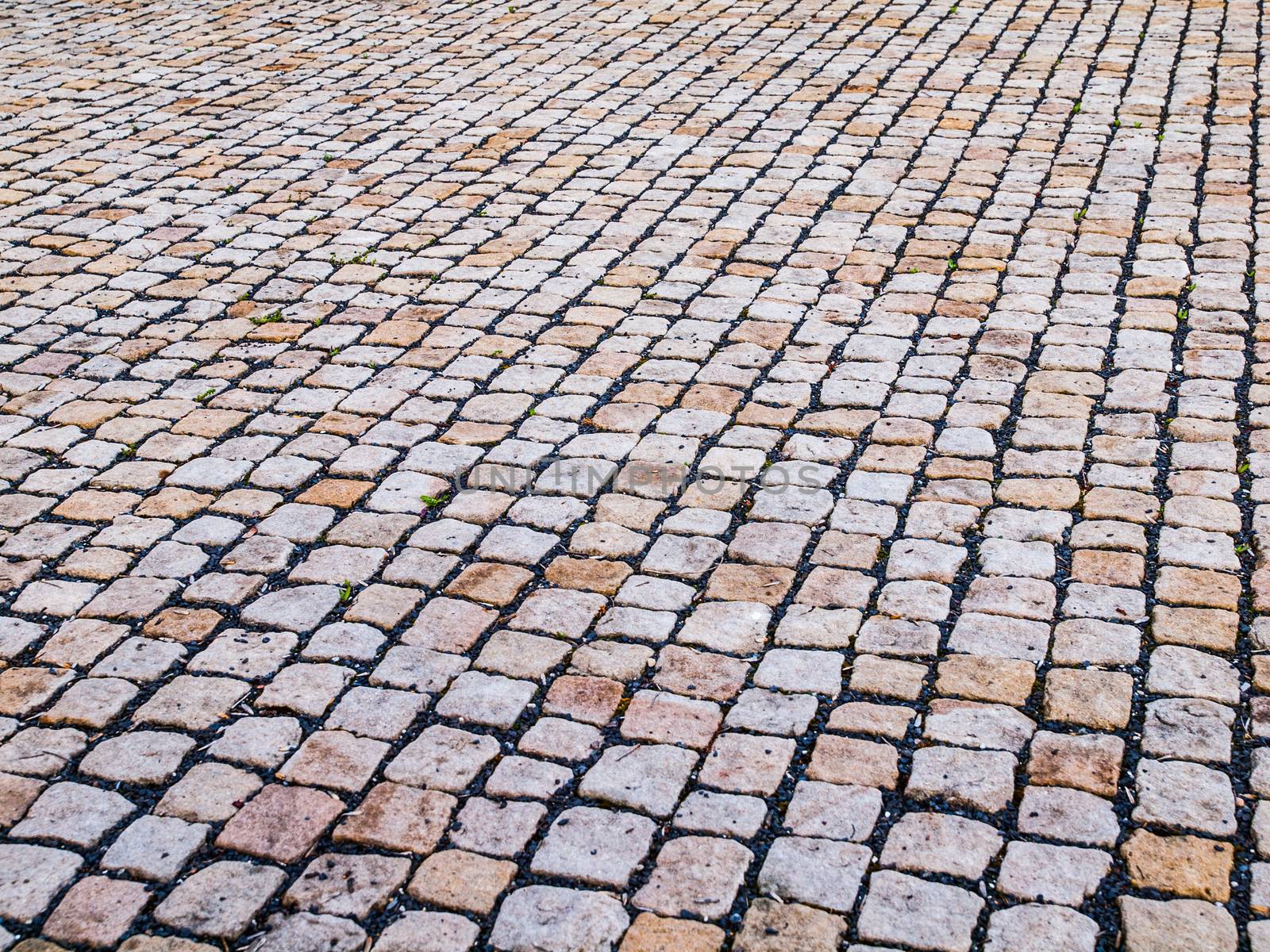 Cobblestones in the street in perspective view