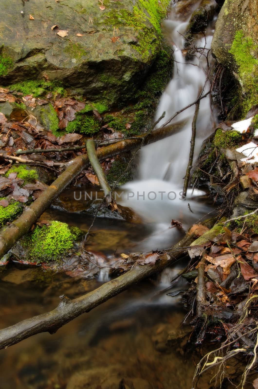 Amazing stream detail with branches and mossy rock.