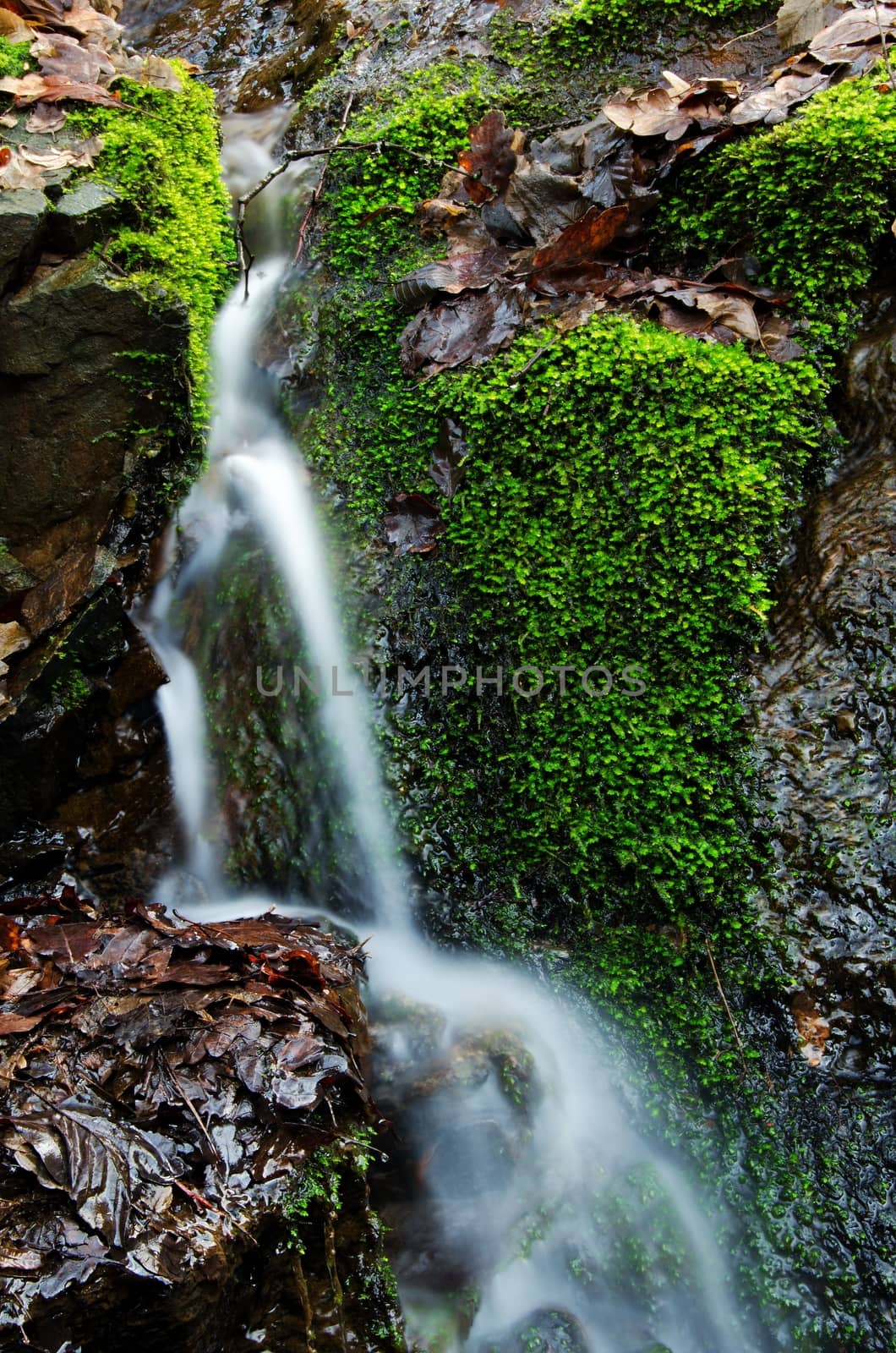 Detail of small waterfall on mossy rock.