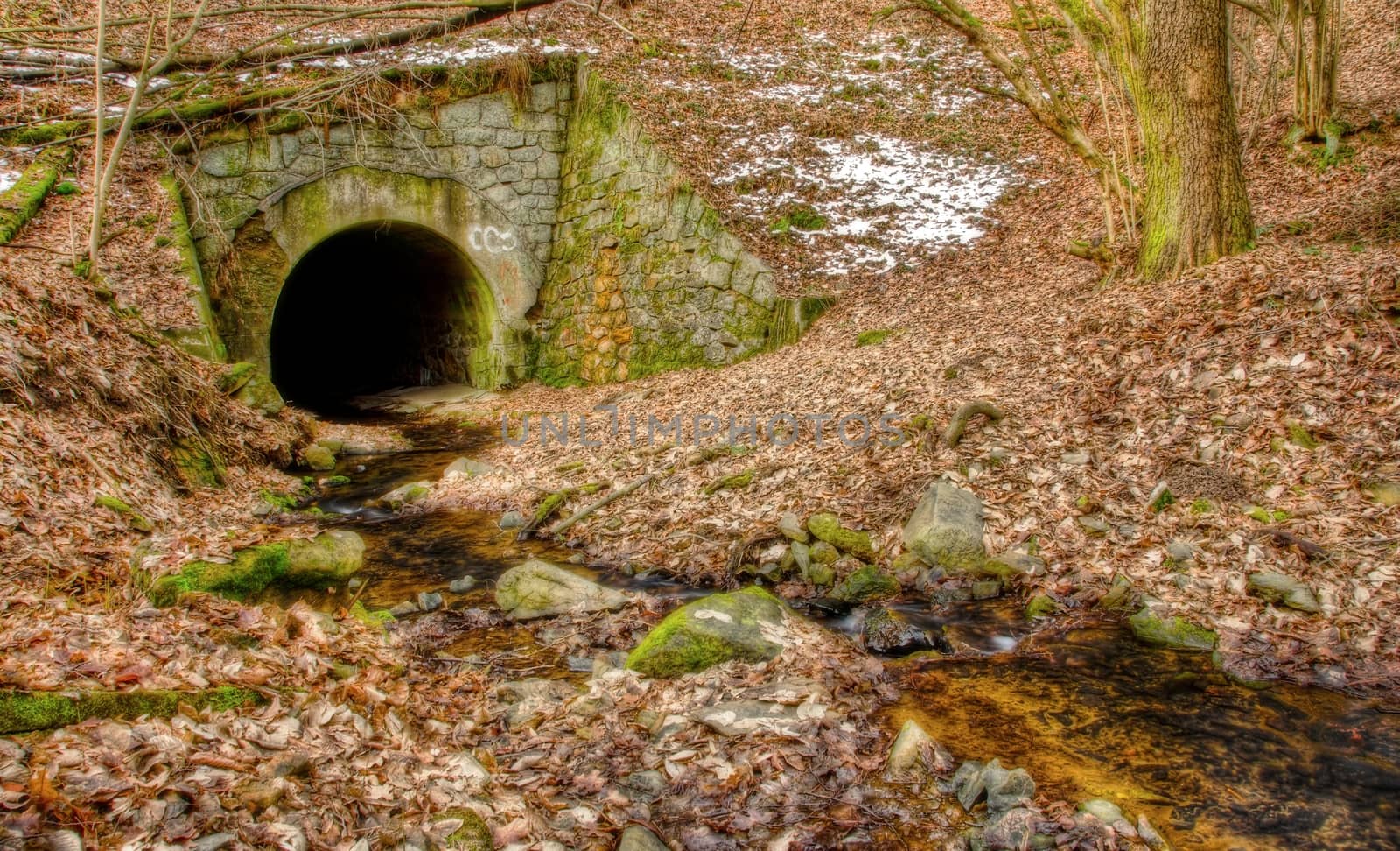 Tunnel with stream in winter forest landscape