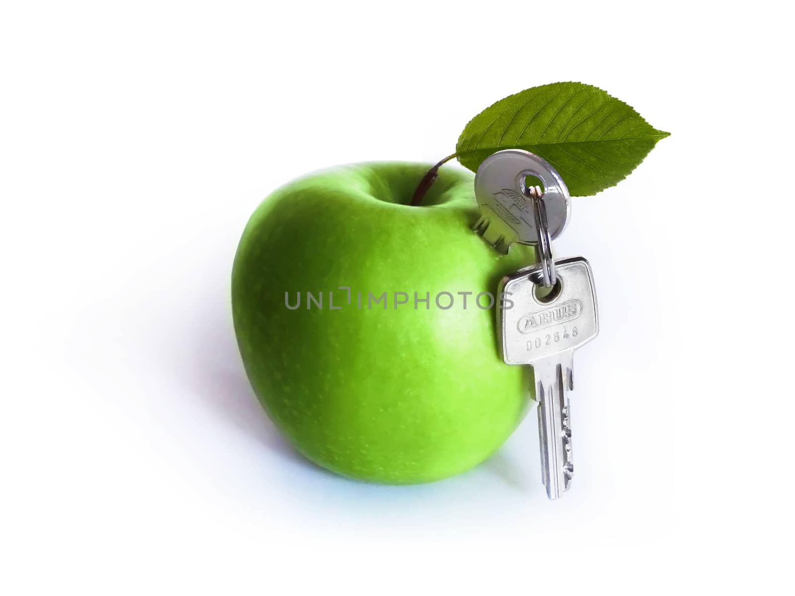 Green fruit on a white background with leaf and keys