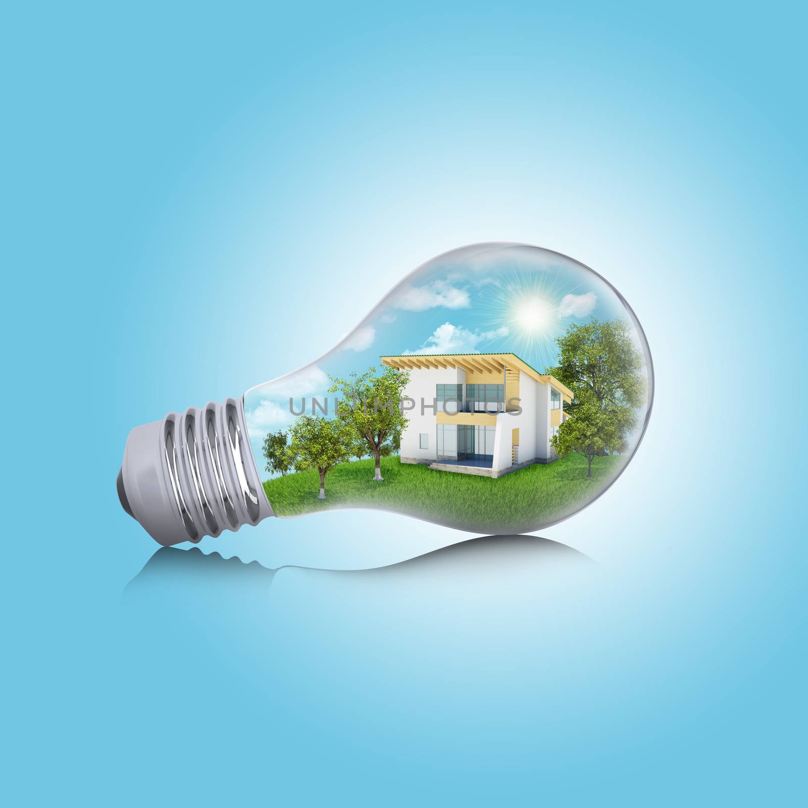 House in the light bulb by cherezoff