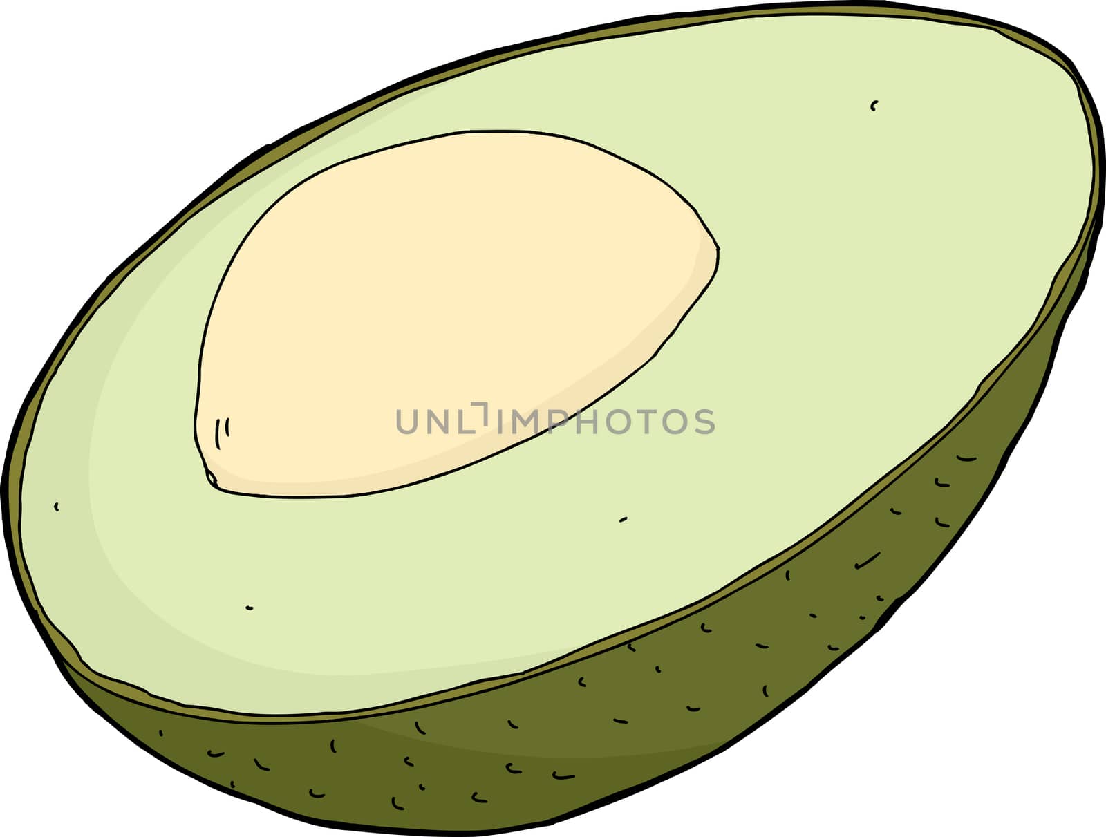 Avocado half with seed and skin on white background